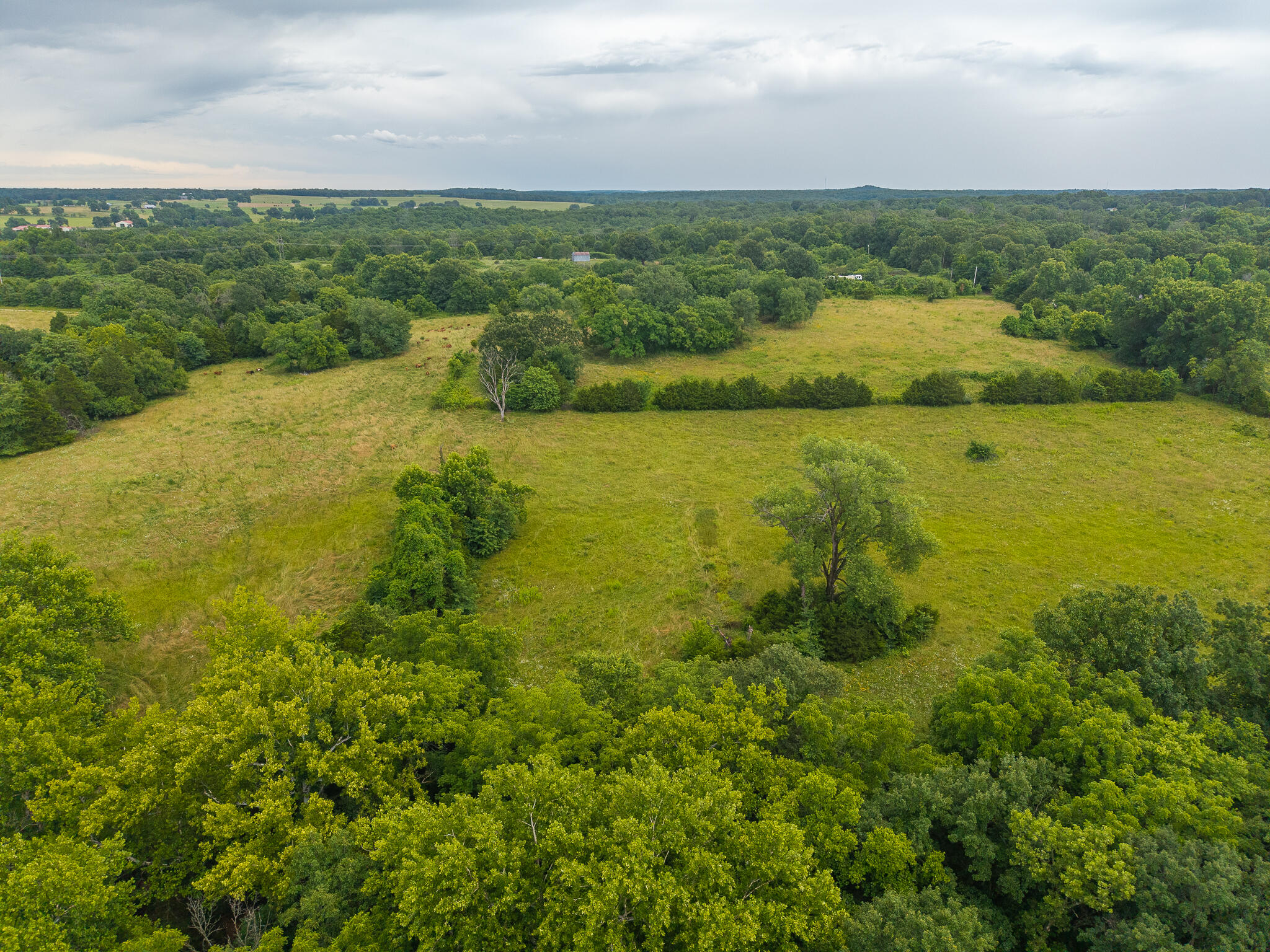 Photo 16 - Land for sale – 17  State Highway 32   Stockton, MO