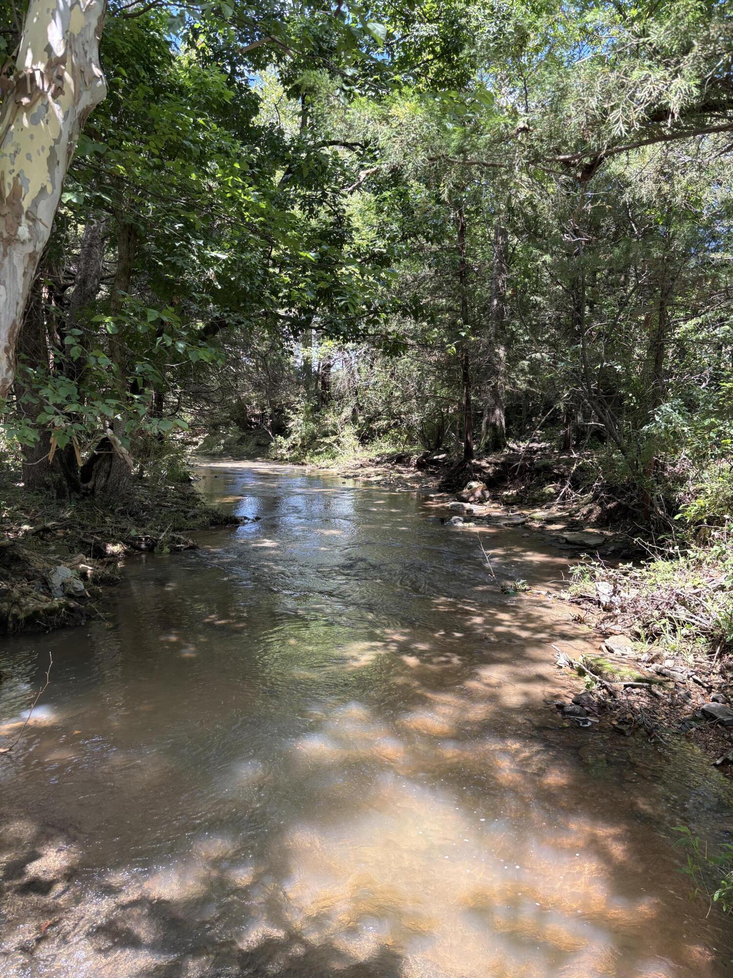 Photo 2 - Land for sale – 17  State Highway 32   Stockton, MO