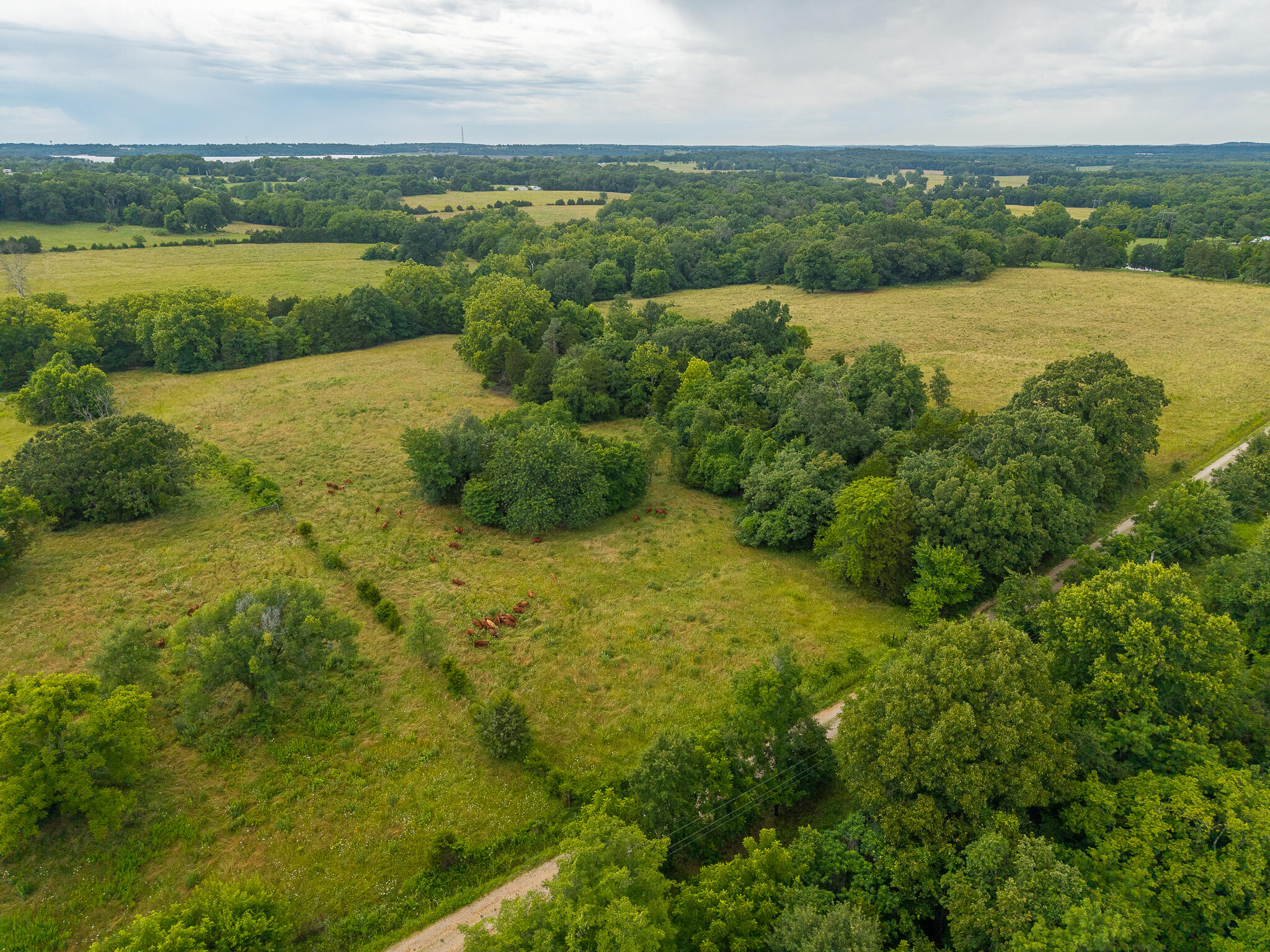 Photo 13 - Land for sale – 17  State Highway 32   Stockton, MO