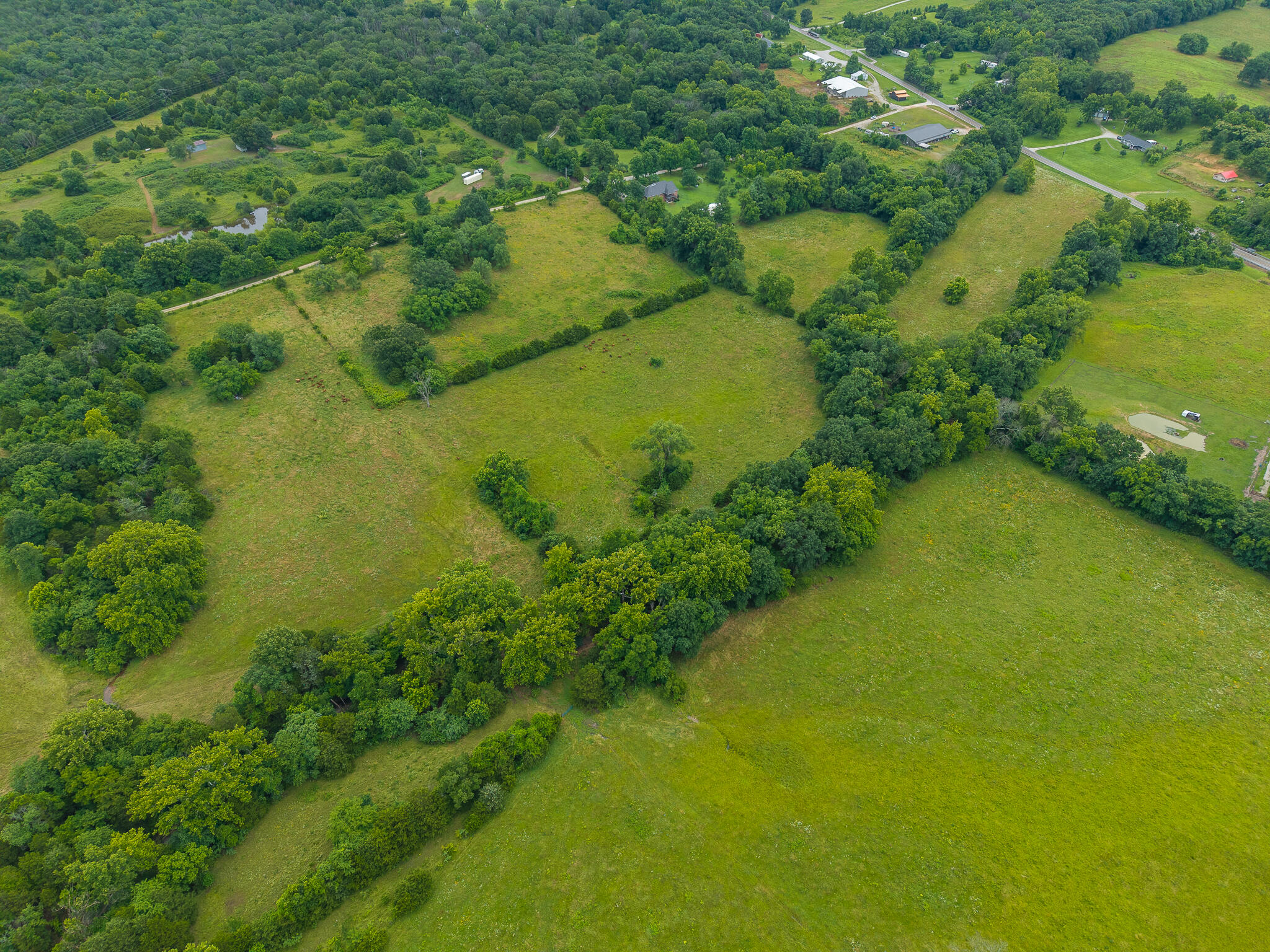 Photo 10 - Land for sale – 17  State Highway 32   Stockton, MO