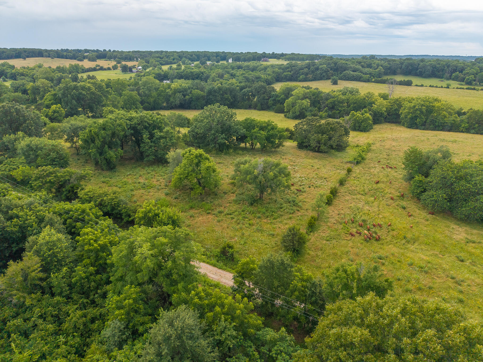 Photo 15 - Land for sale – 18  State Highway 32   Stockton, MO