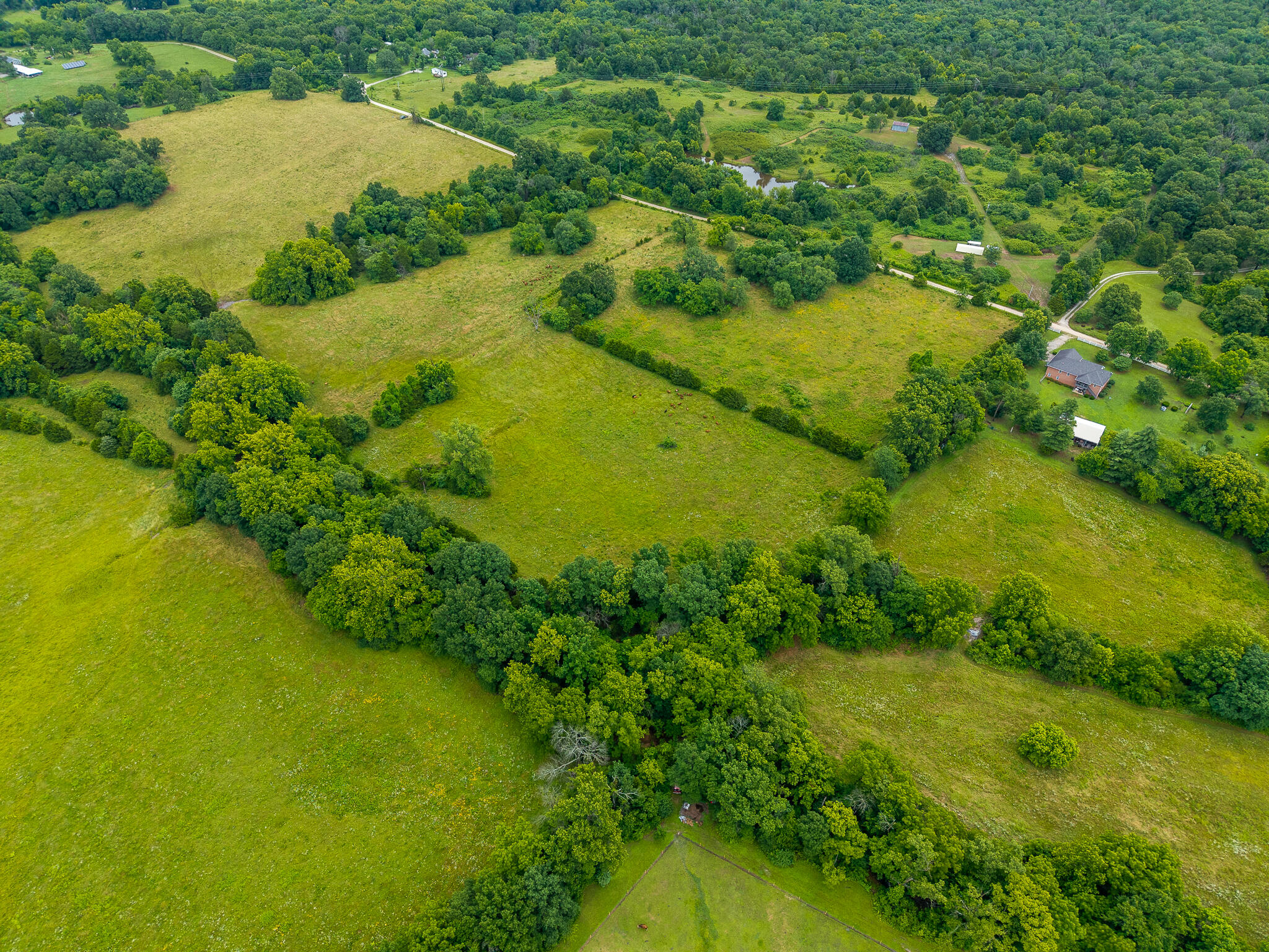 Photo 10 - Land for sale – 18  State Highway 32   Stockton, MO