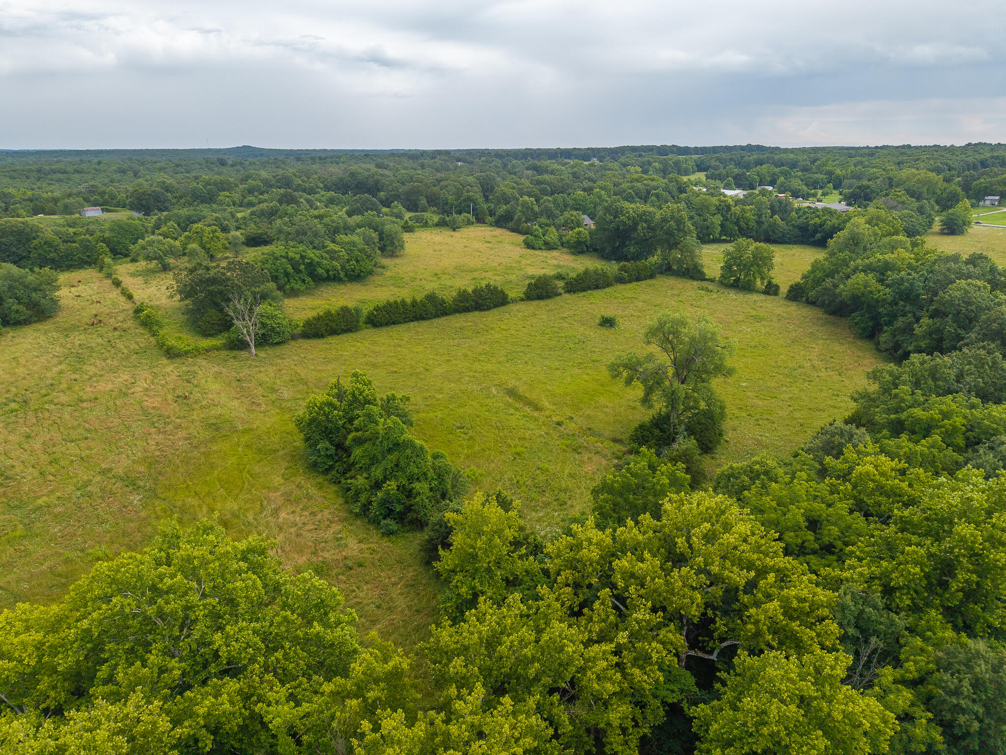 Photo 15 - Land for sale – 19  State Highway 32   Stockton, MO