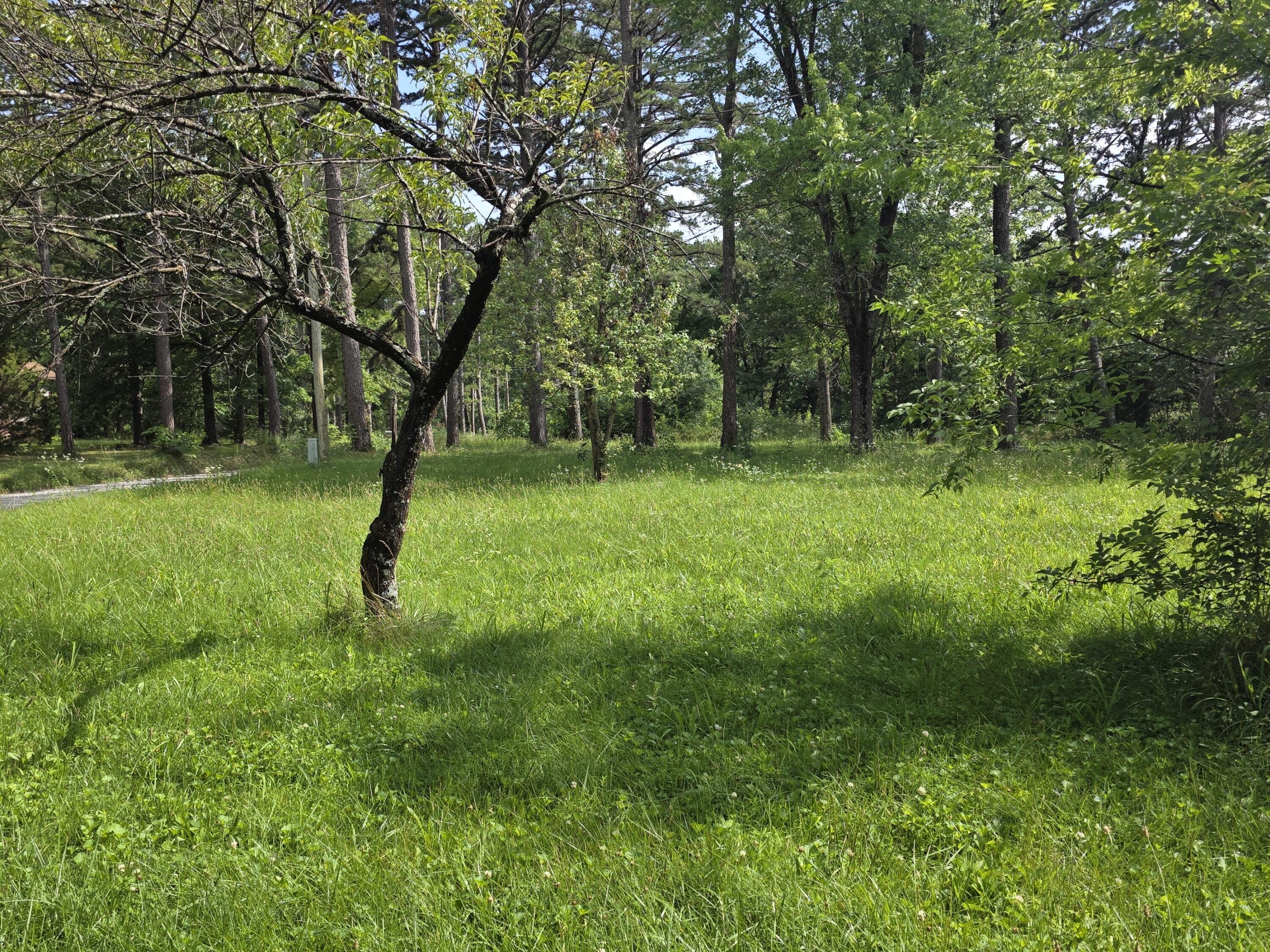 Photo 11 - Land for sale – 11507  Cooper Drive  Licking, MO