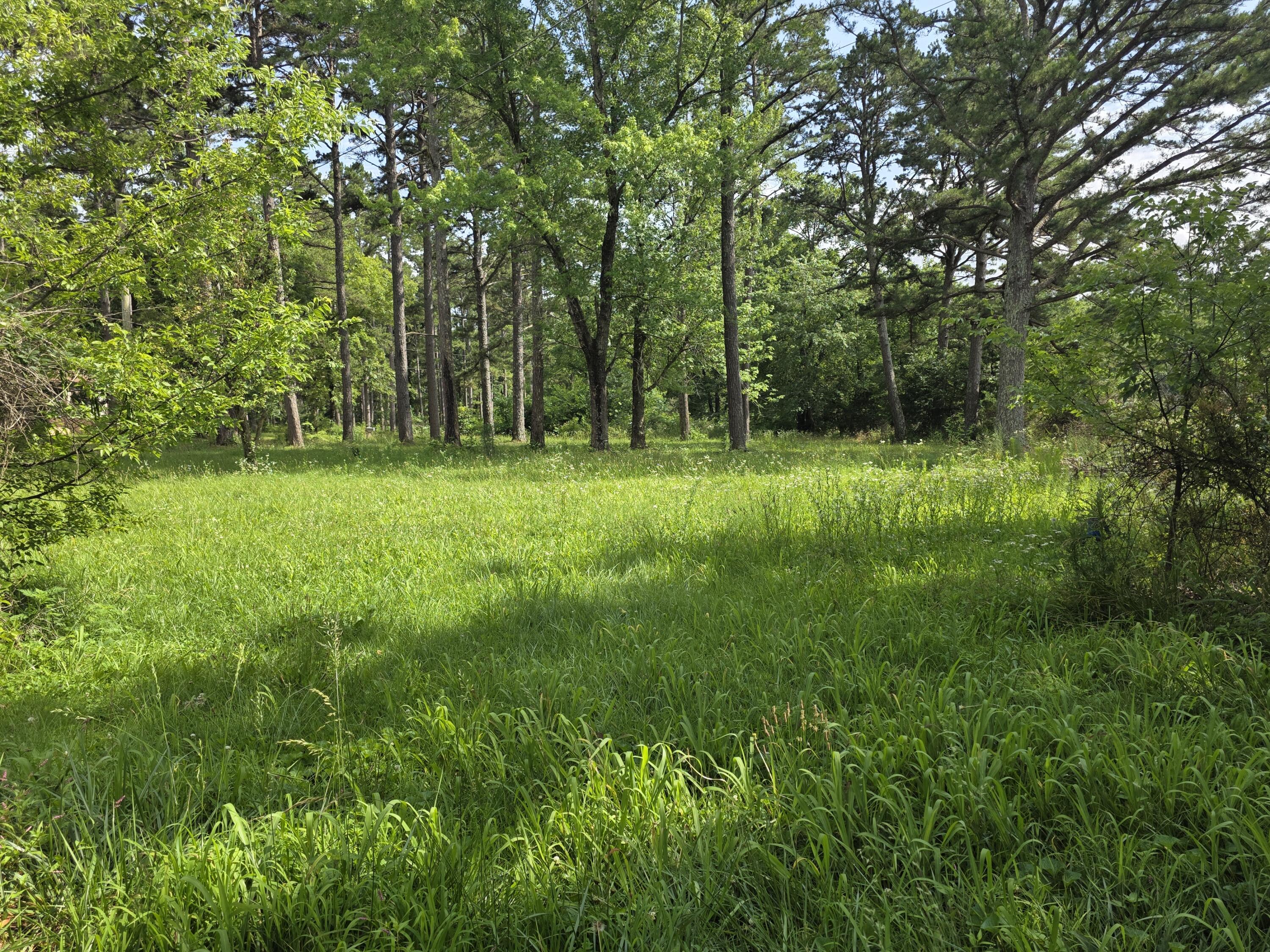 Photo 10 - Land for sale – 11507  Cooper Drive  Licking, MO