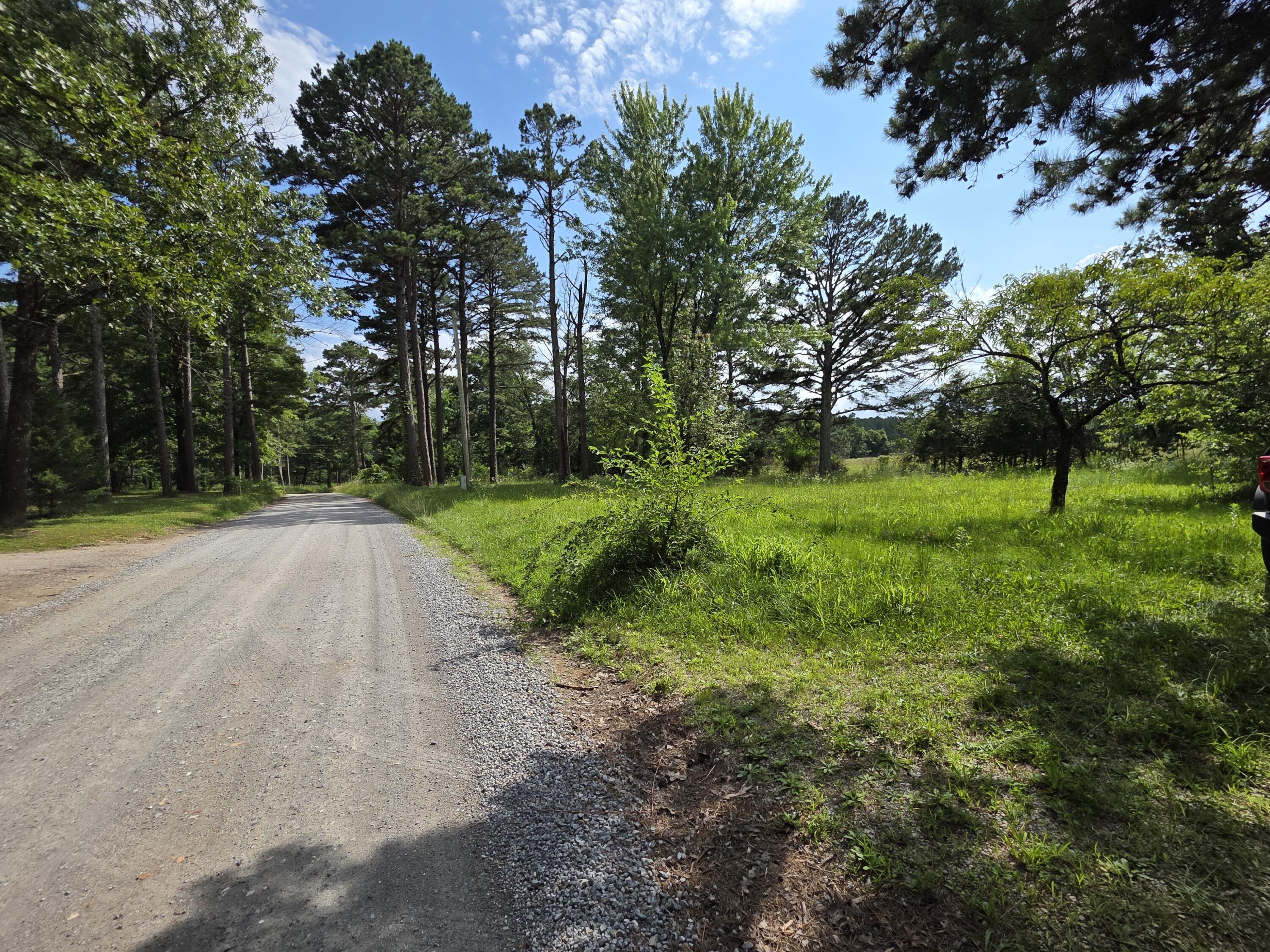 Photo 14 - Land for sale – 11507  Cooper Drive  Licking, MO