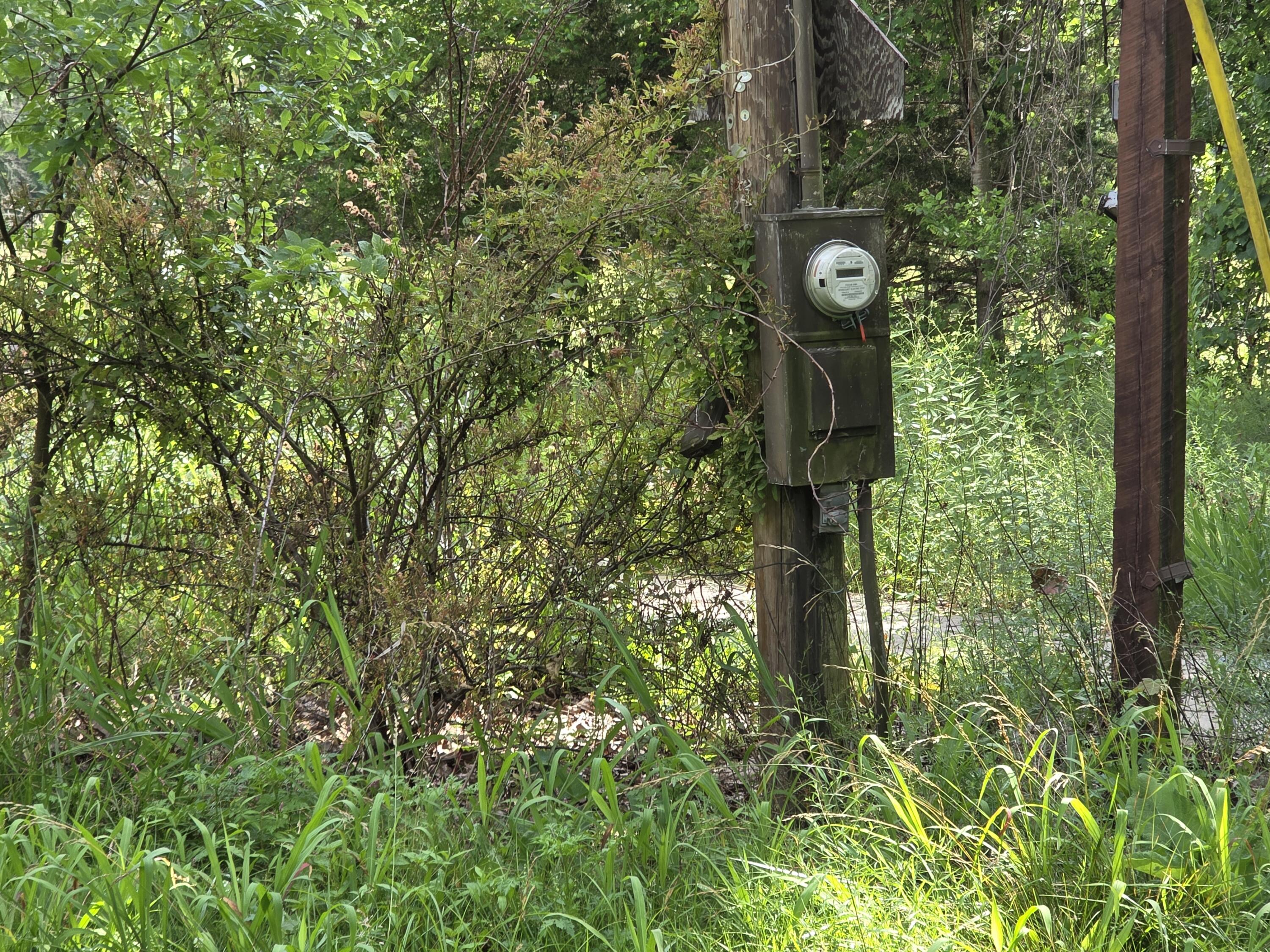 Photo 16 - Land for sale – 11507  Cooper Drive  Licking, MO