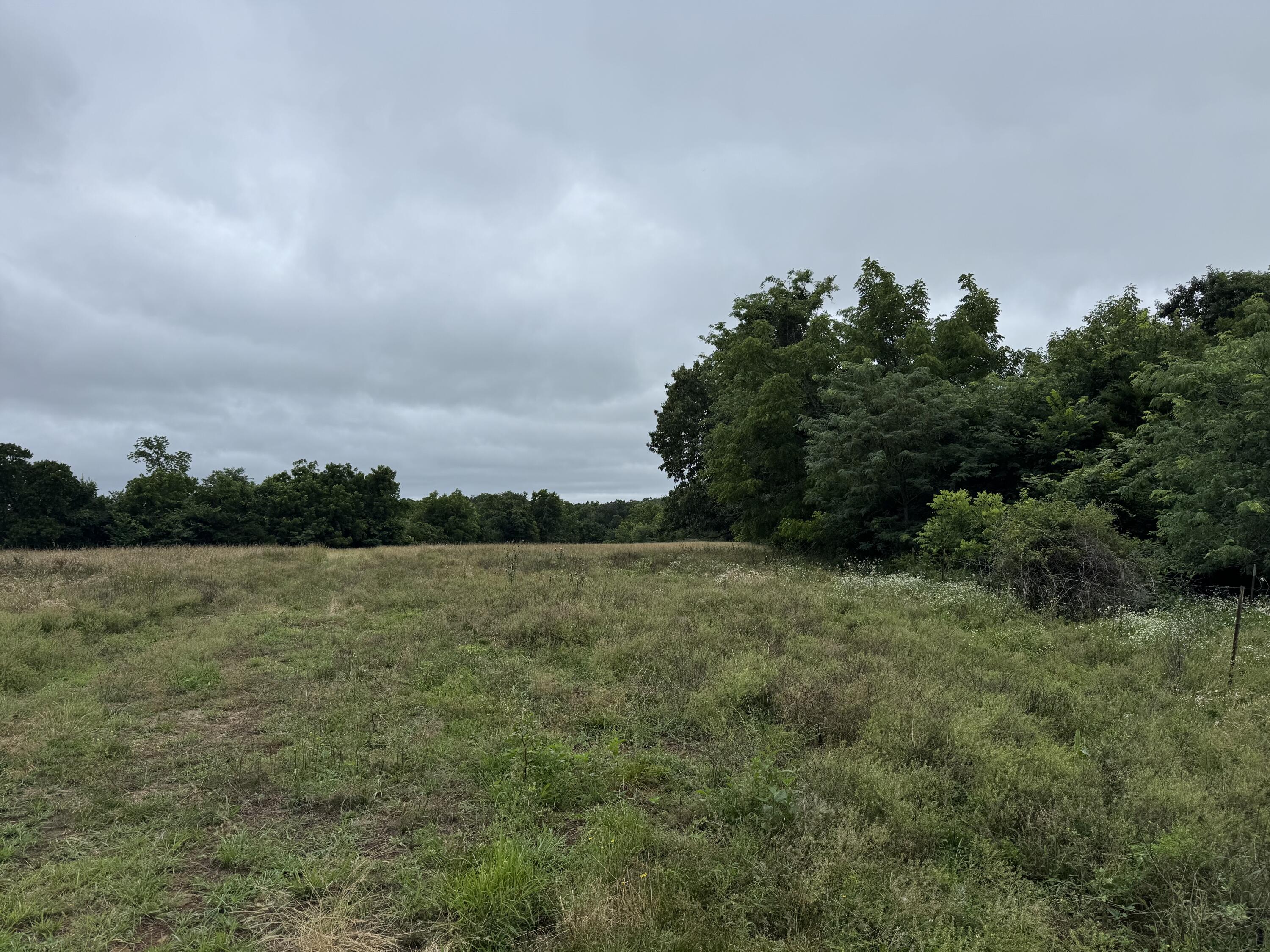 Photo 55 - Land for sale – 12230 S 2225 Road  Stockton, MO