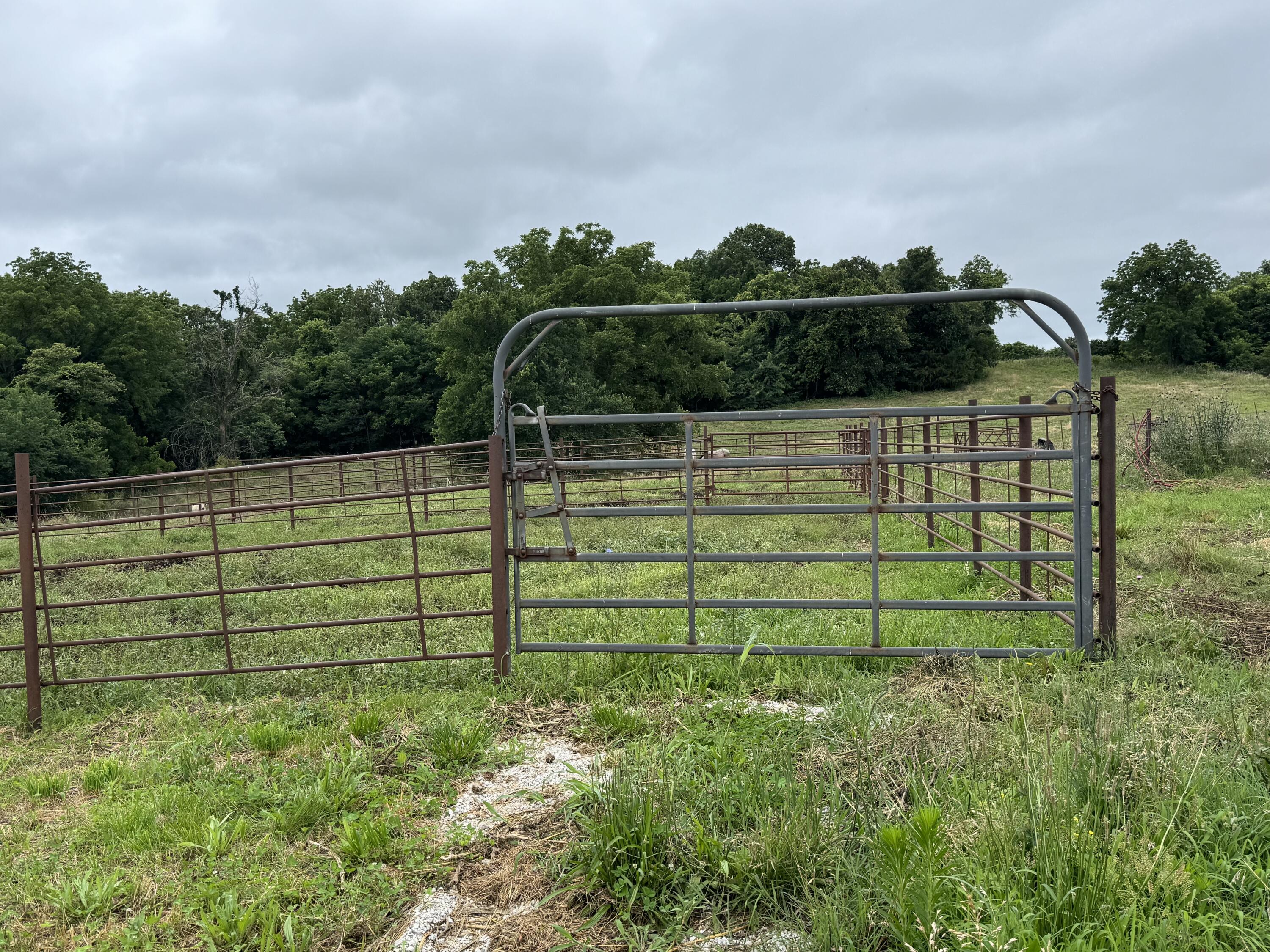 Photo 12 - Land for sale – 12230 S 2225 Road  Stockton, MO