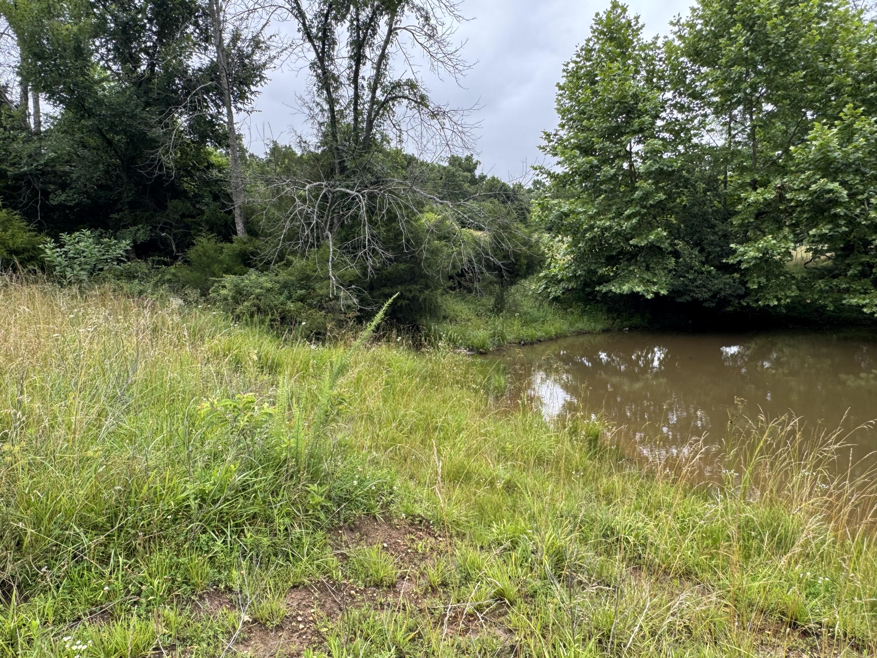 Photo 40 - Land for sale – 12230 S 2225 Road  Stockton, MO