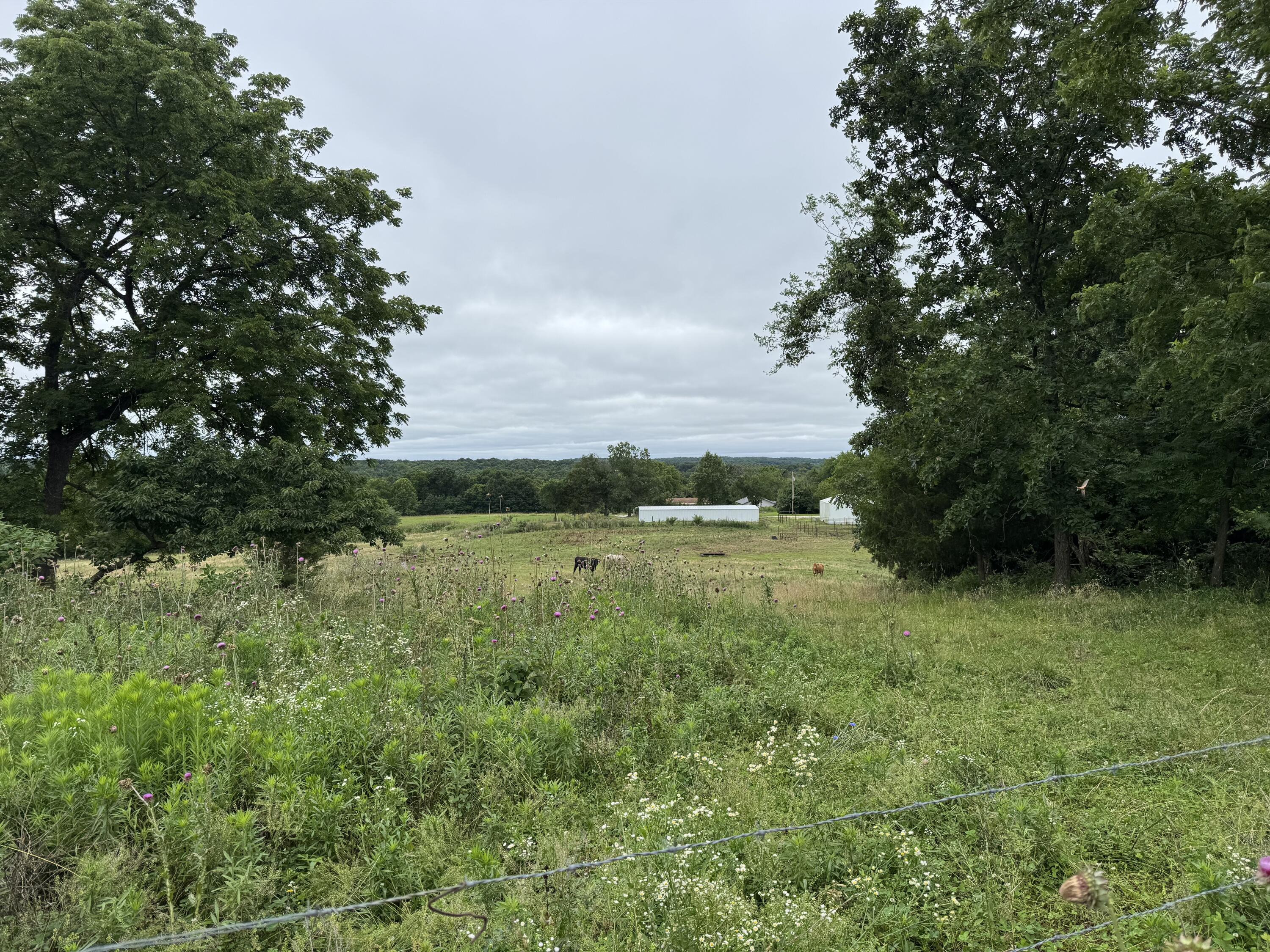 Photo 52 - Land for sale – 12230 S 2225 Road  Stockton, MO