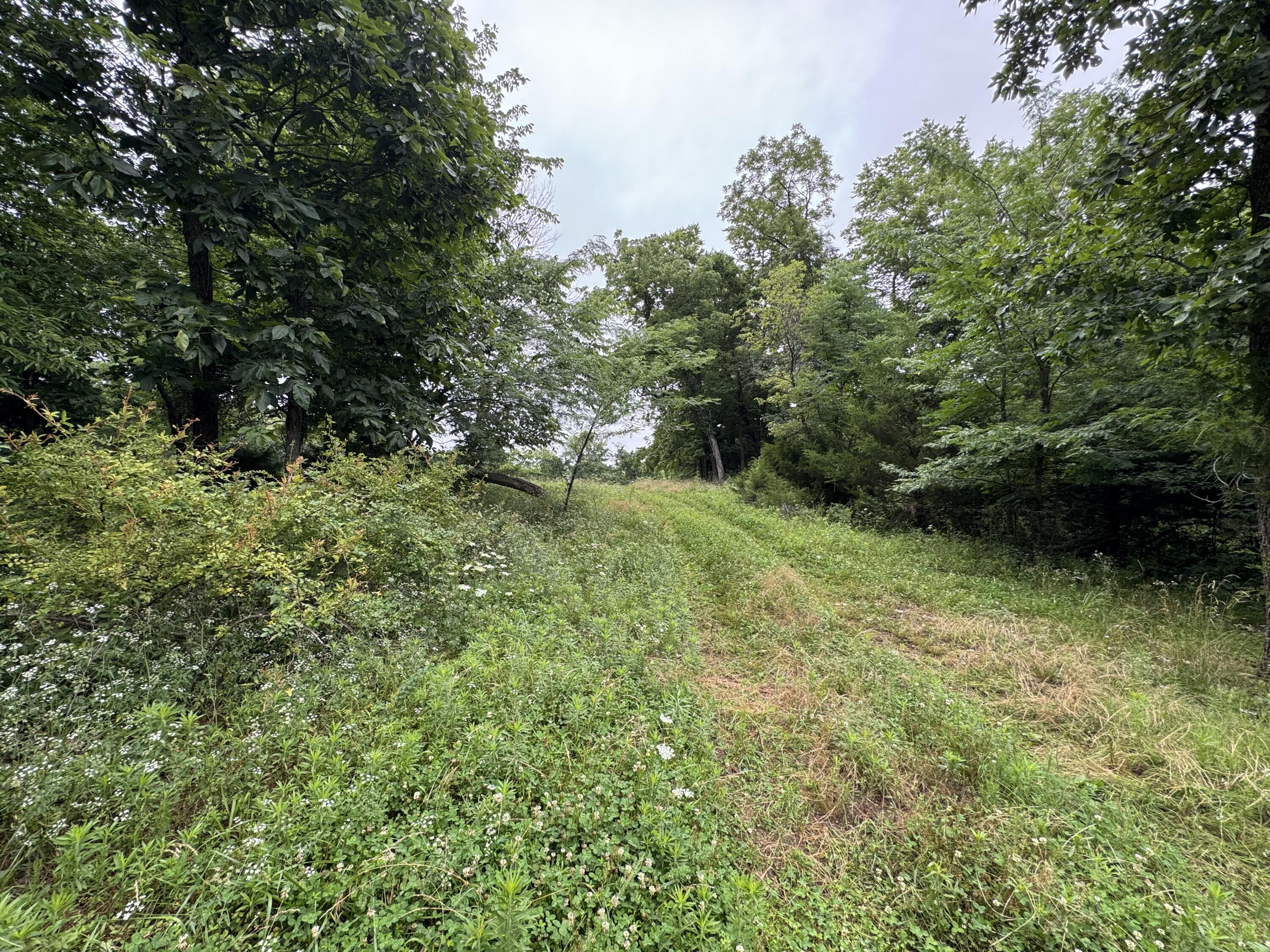 Photo 34 - Land for sale – 12230 S 2225 Road  Stockton, MO
