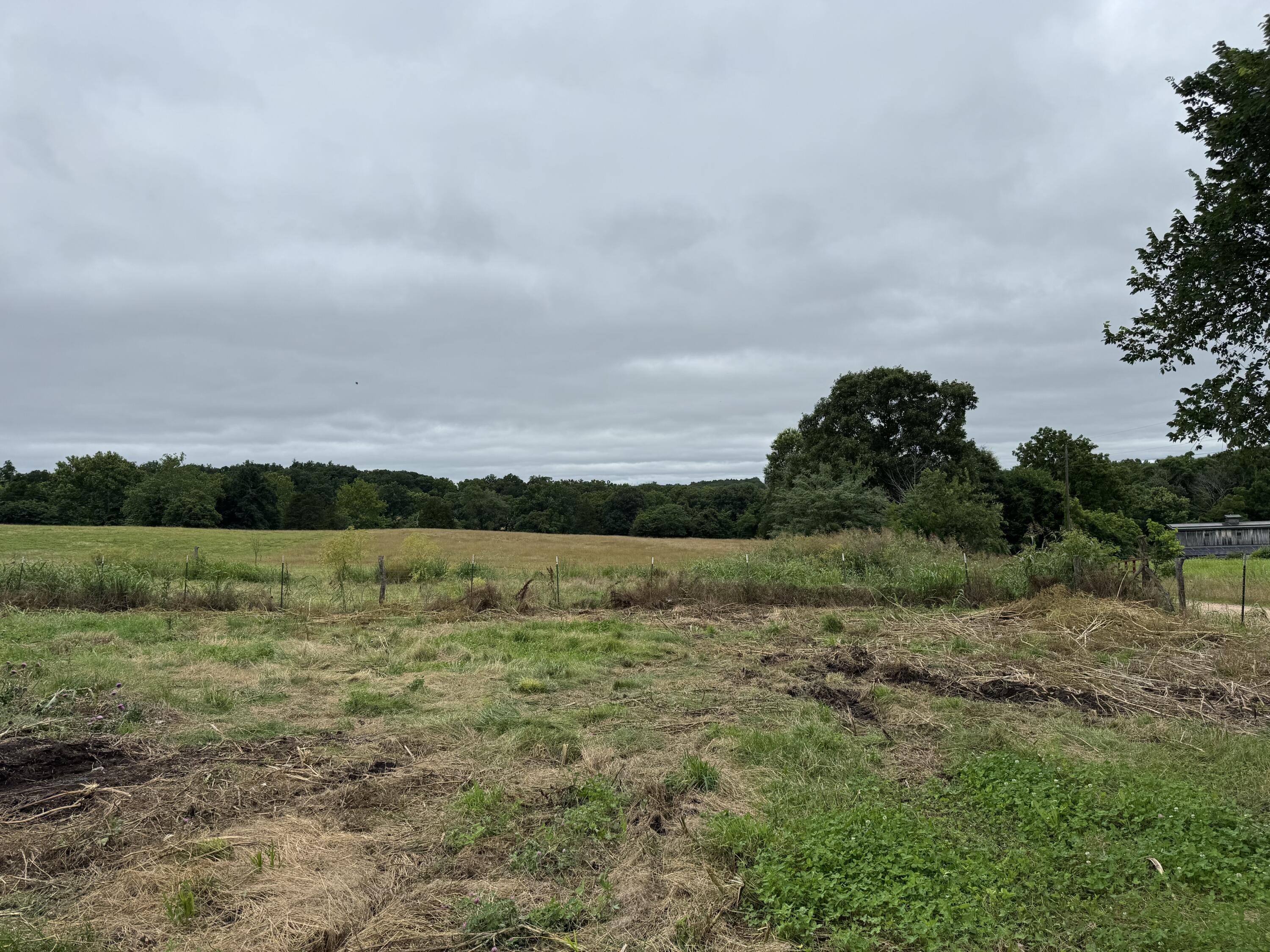 Photo 35 - Land for sale – 12230 S 2225 Road  Stockton, MO