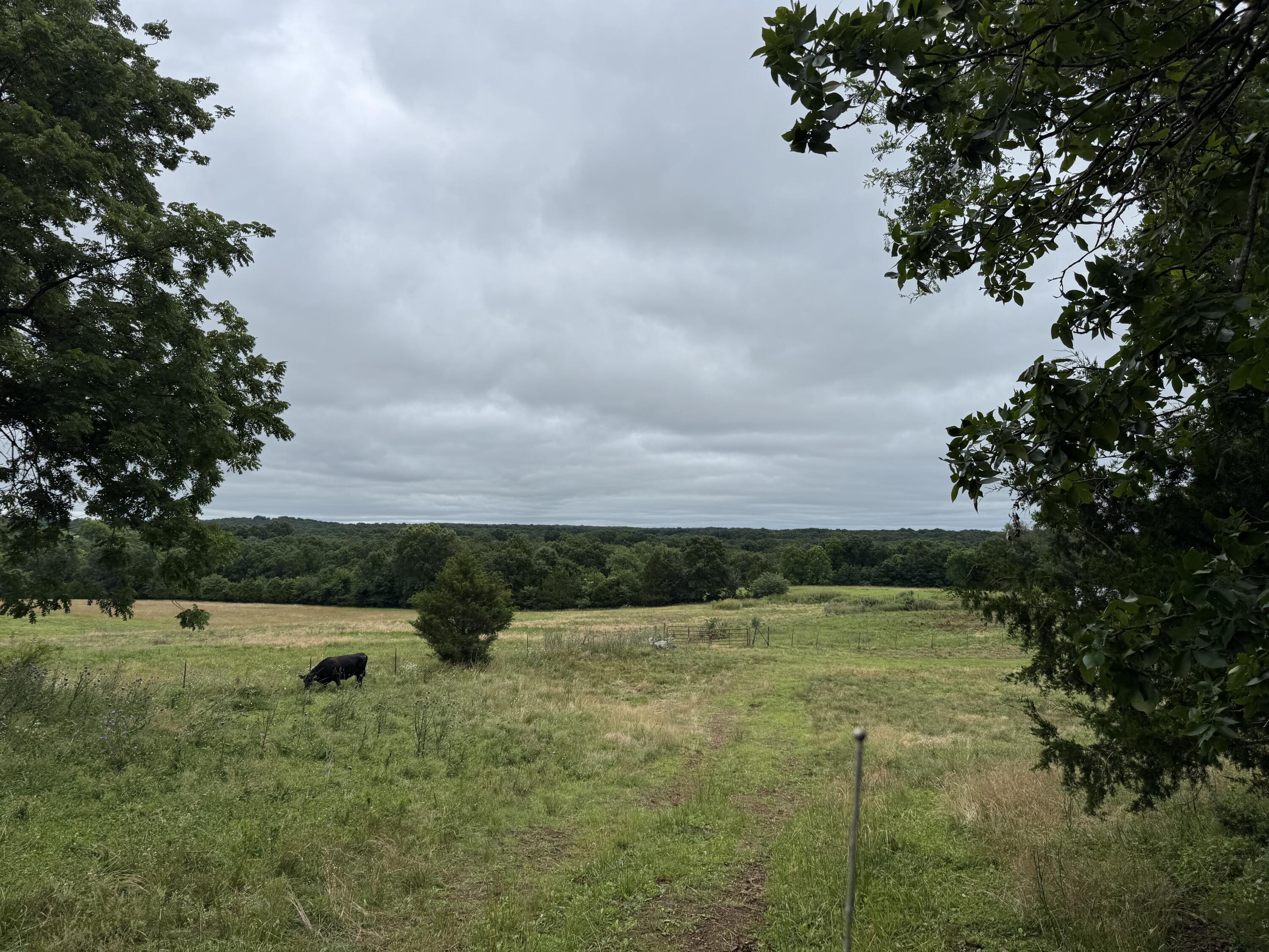Photo 30 - Land for sale – 12230 S 2225 Road  Stockton, MO