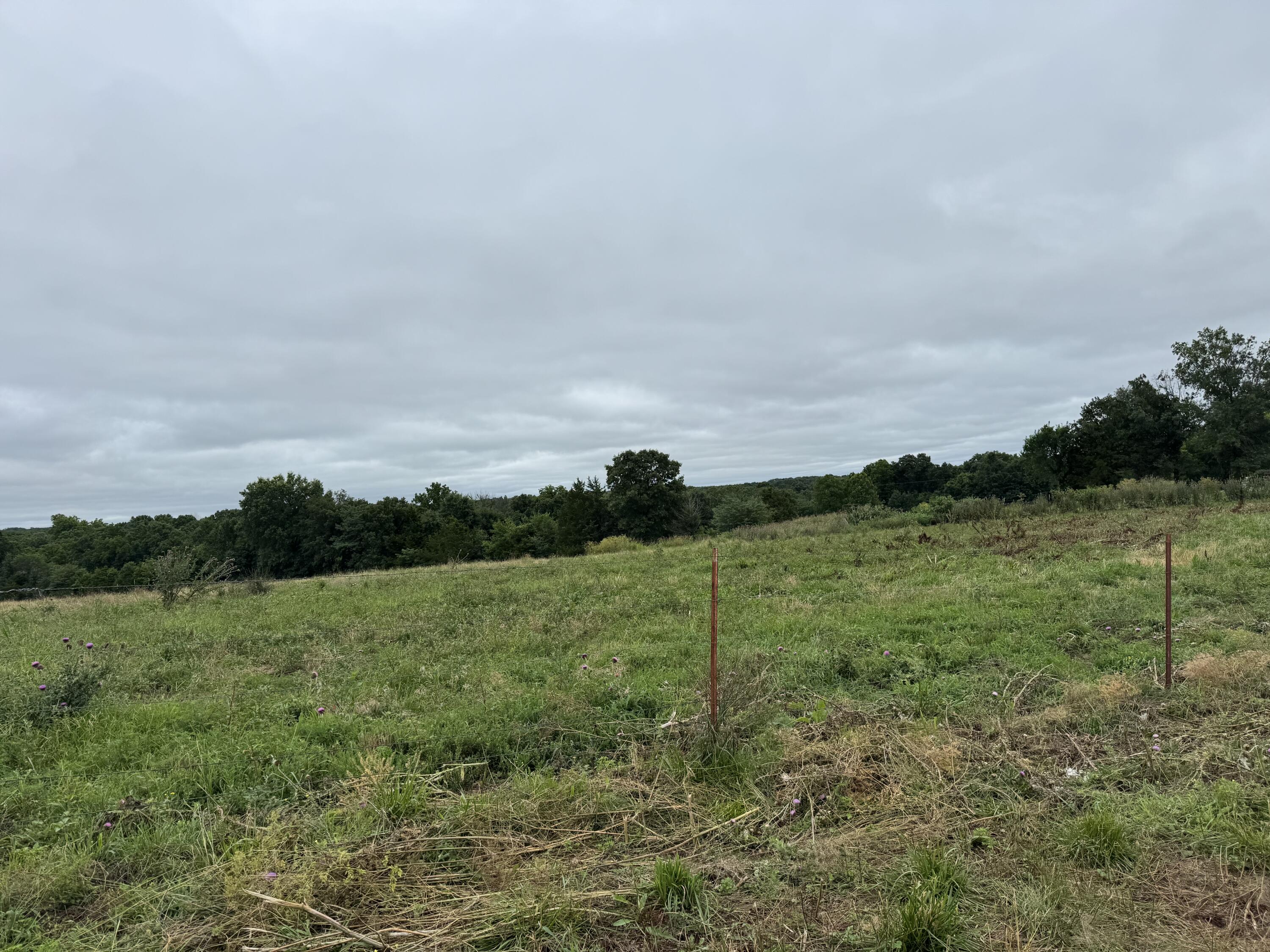 Photo 59 - Land for sale – 12230 S 2225 Road  Stockton, MO