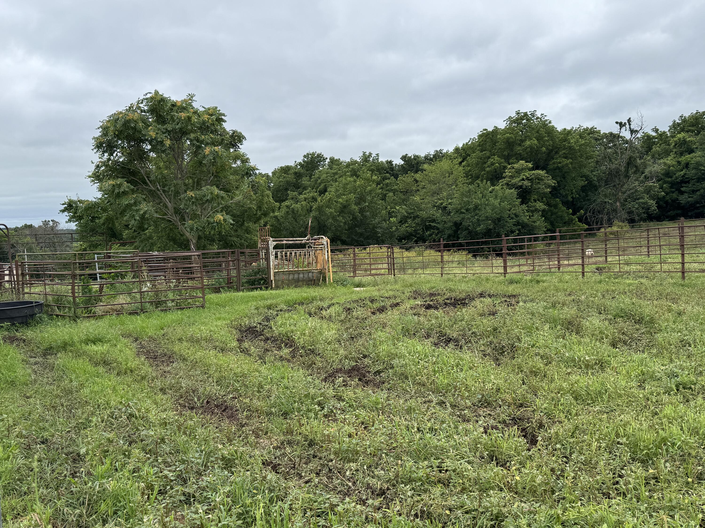 Photo 17 - Land for sale – 12230 S 2225 Road  Stockton, MO