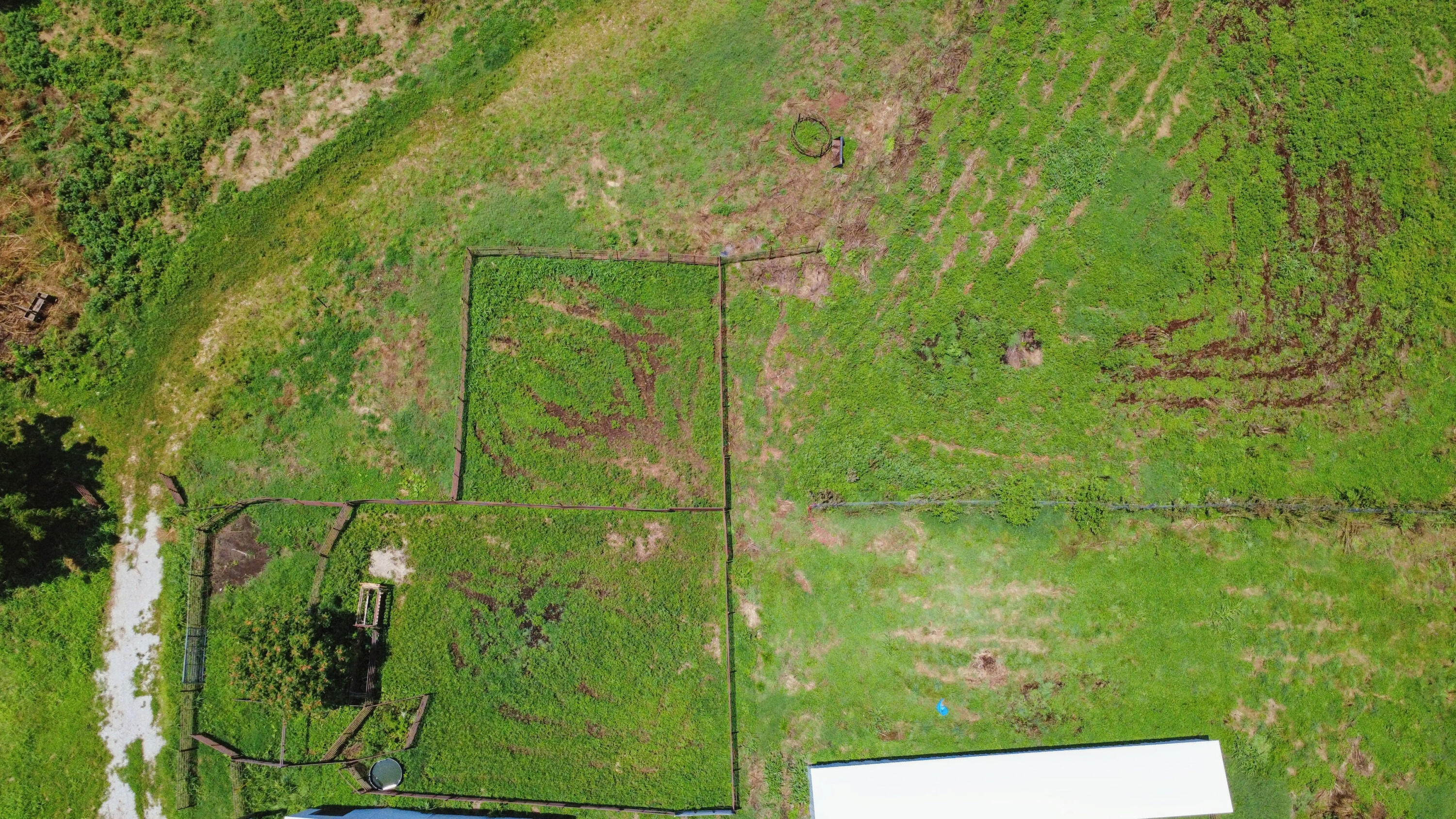 Photo 8 - Land for sale – 12230 S 2225 Road  Stockton, MO