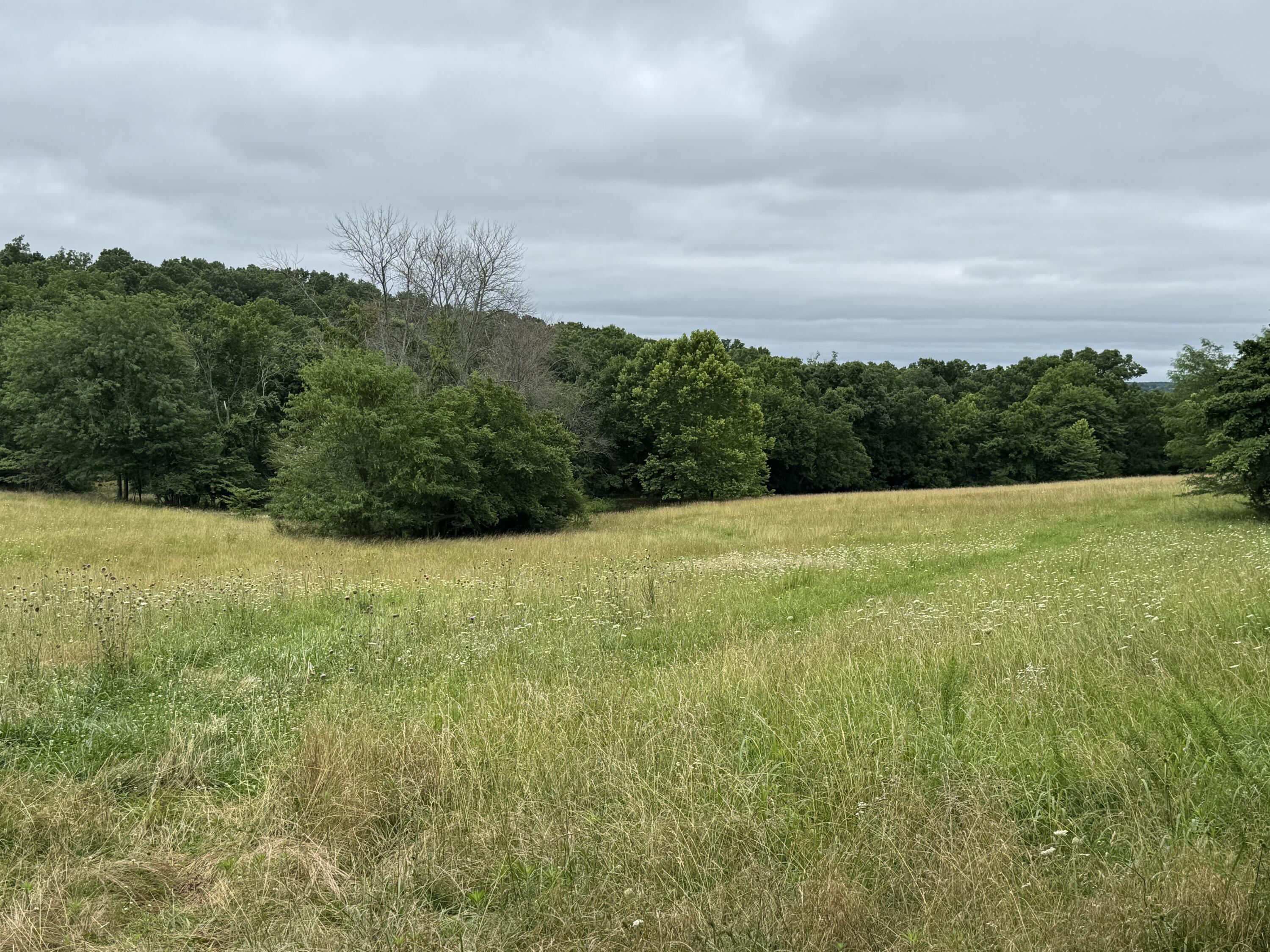 Photo 44 - Land for sale – 12230 S 2225 Road  Stockton, MO