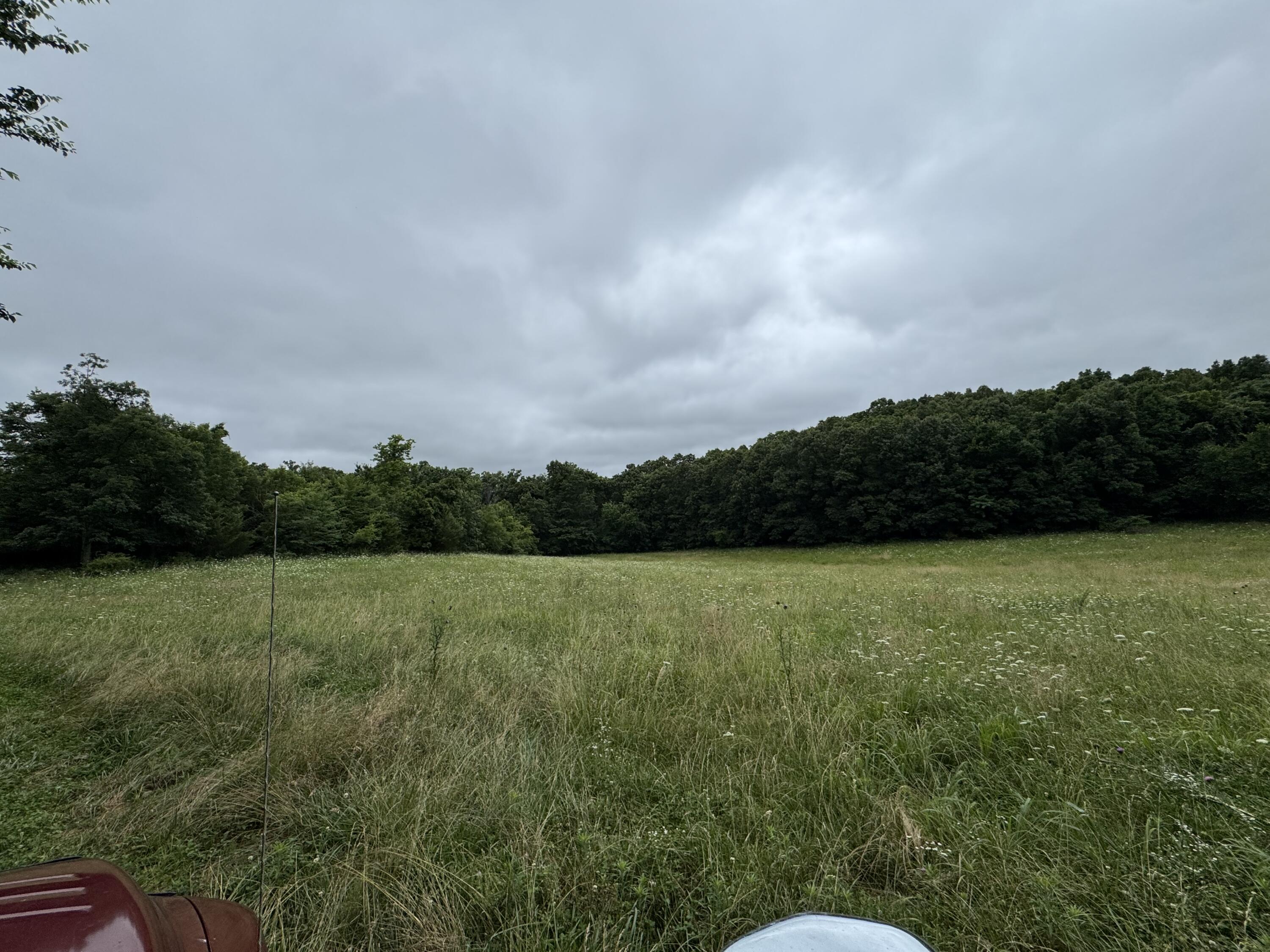 Photo 46 - Land for sale – 12230 S 2225 Road  Stockton, MO
