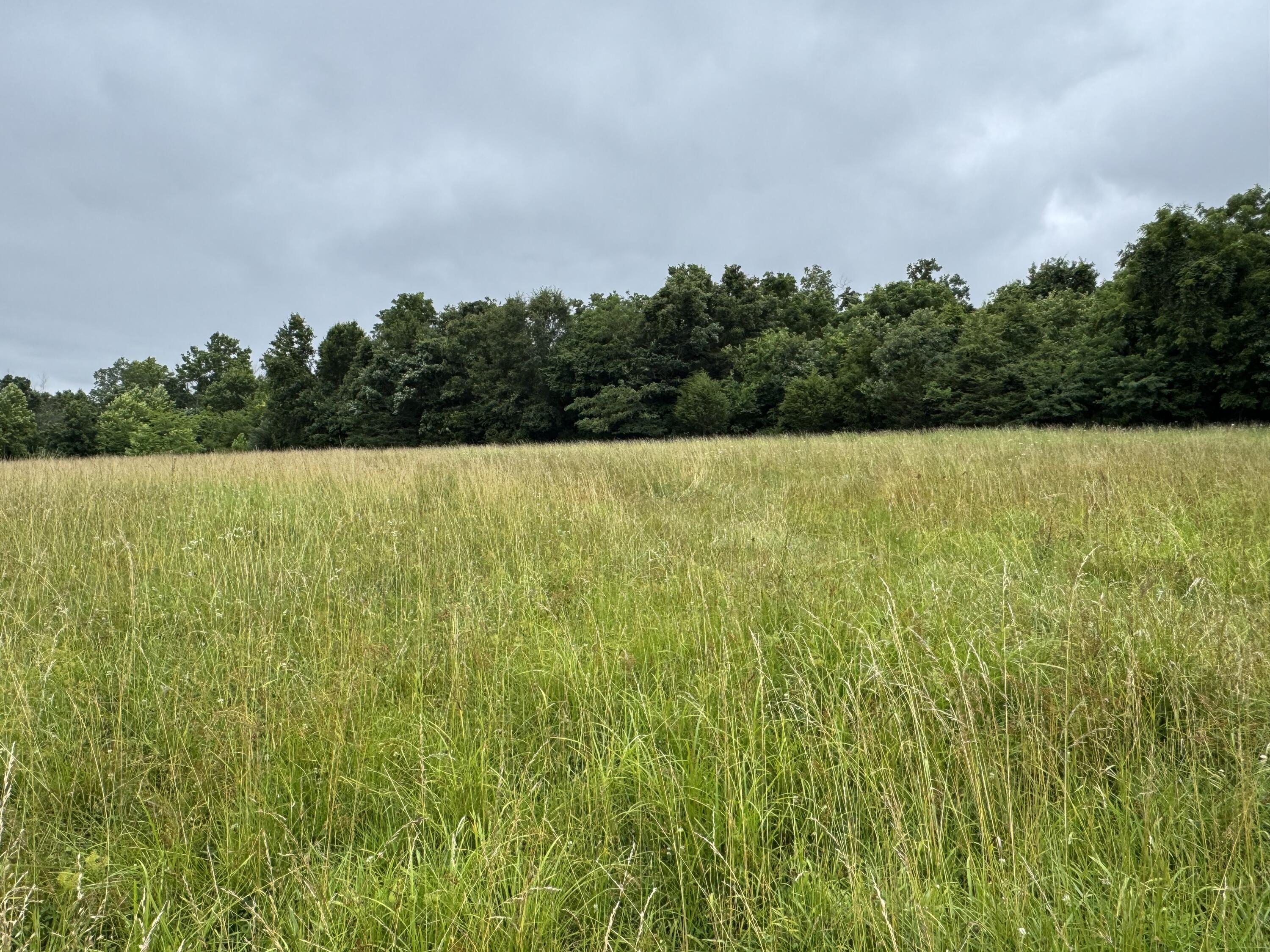 Photo 37 - Land for sale – 12230 S 2225 Road  Stockton, MO