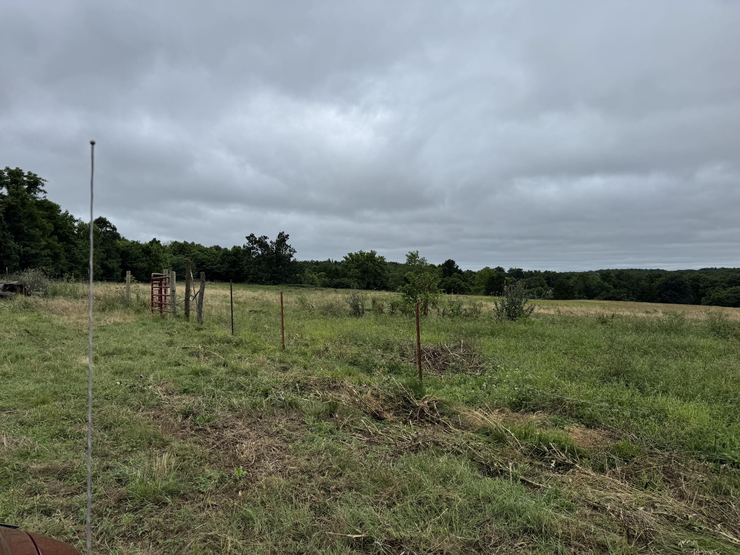 Photo 57 - Land for sale – 12230 S 2225 Road  Stockton, MO