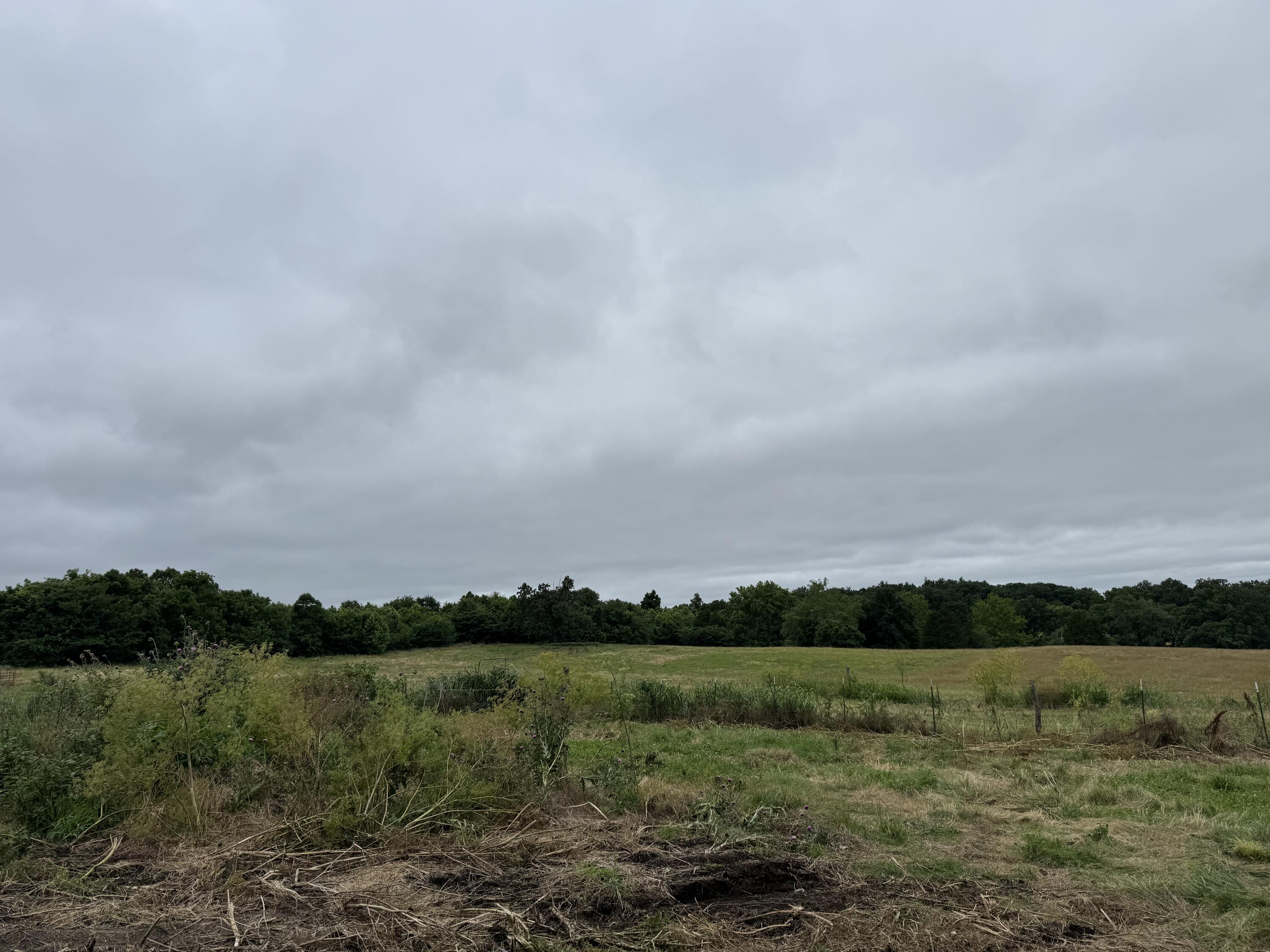 Photo 36 - Land for sale – 12230 S 2225 Road  Stockton, MO