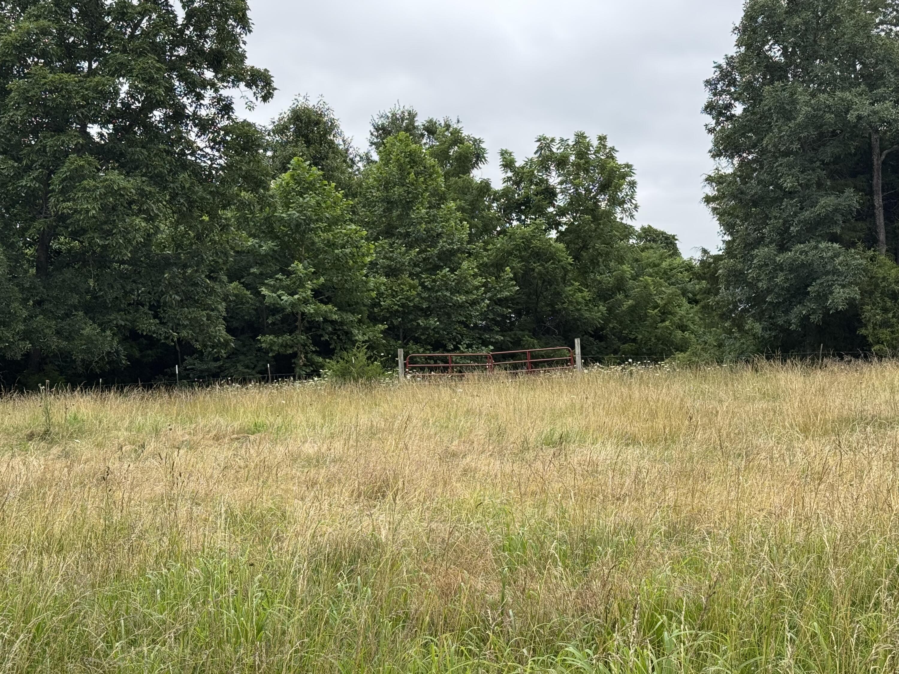 Photo 51 - Land for sale – 12230 S 2225 Road  Stockton, MO