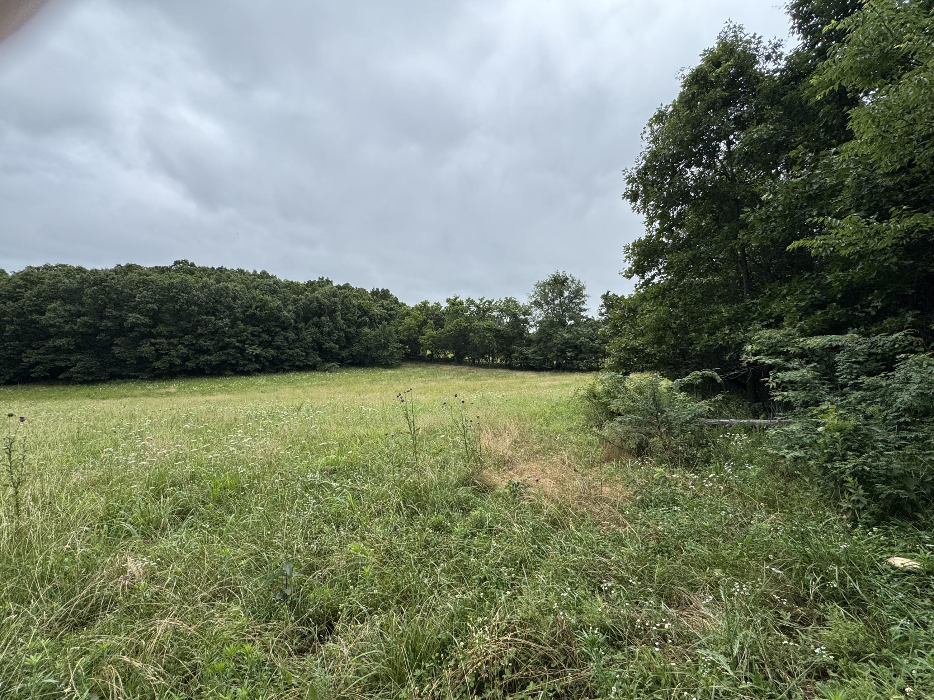 Photo 45 - Land for sale – 12230 S 2225 Road  Stockton, MO