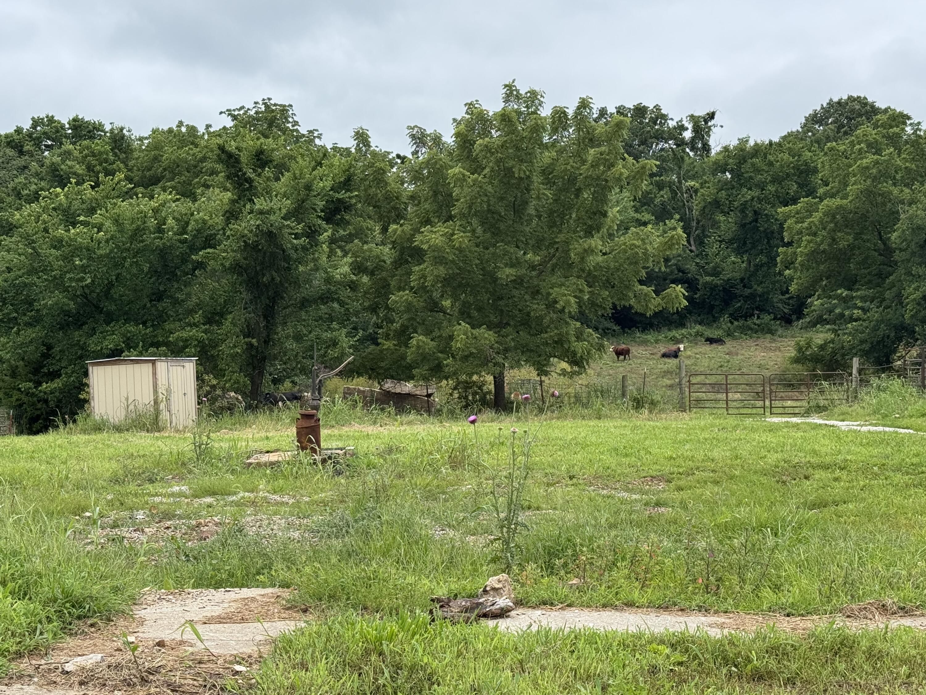 Photo 32 - Land for sale – 12230 S 2225 Road  Stockton, MO