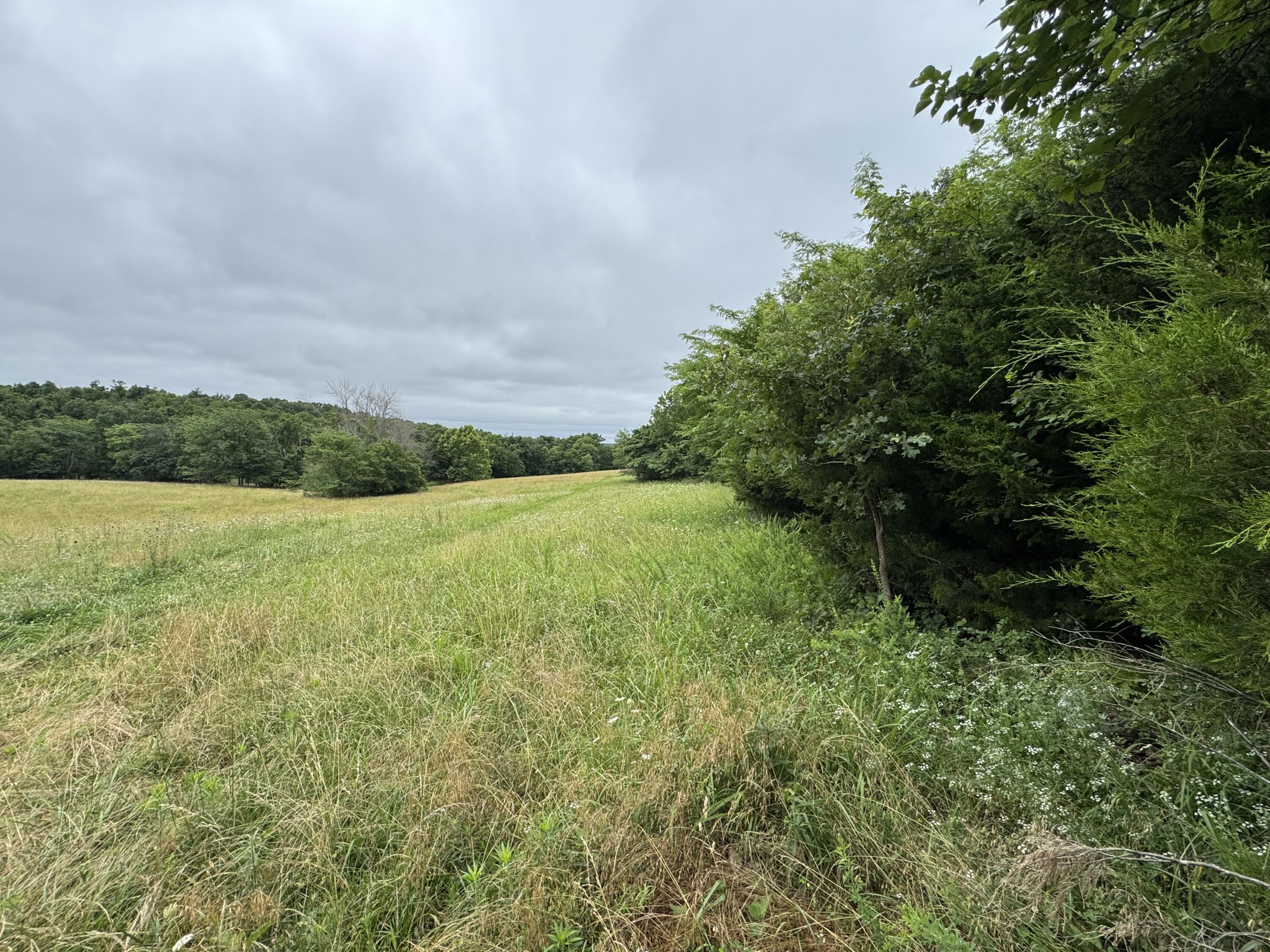 Photo 43 - Land for sale – 12230 S 2225 Road  Stockton, MO