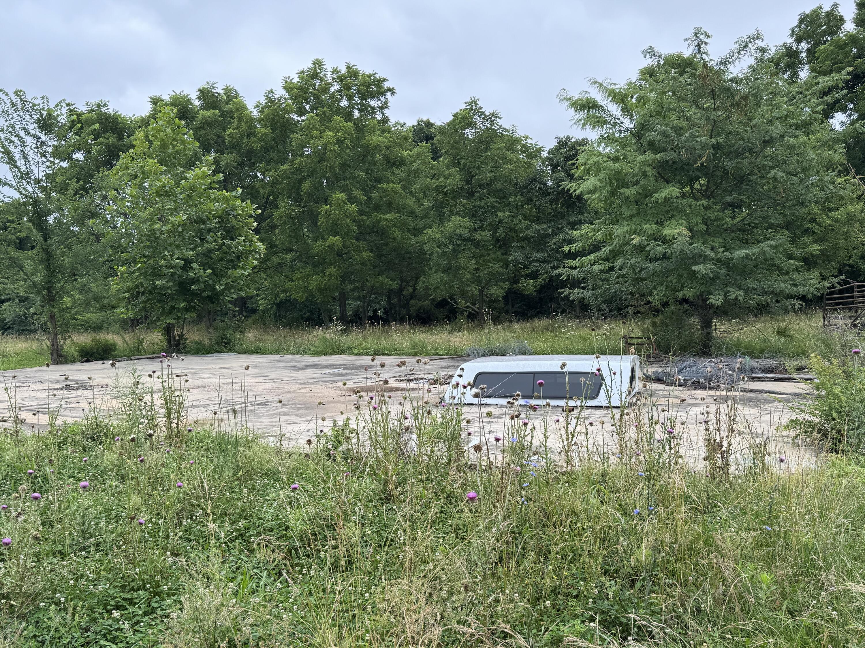 Photo 50 - Land for sale – 12230 S 2225 Road  Stockton, MO