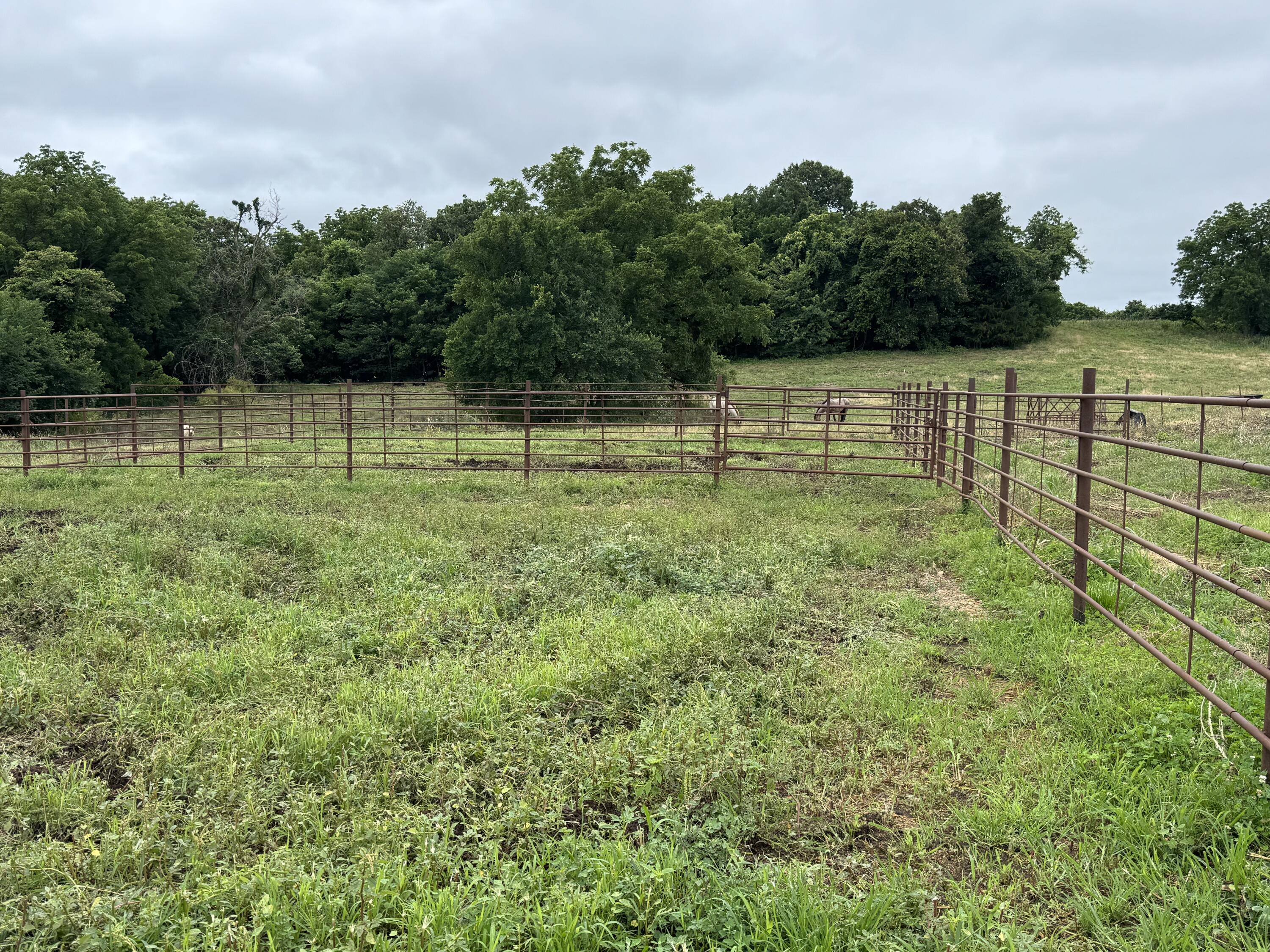 Photo 16 - Land for sale – 12230 S 2225 Road  Stockton, MO