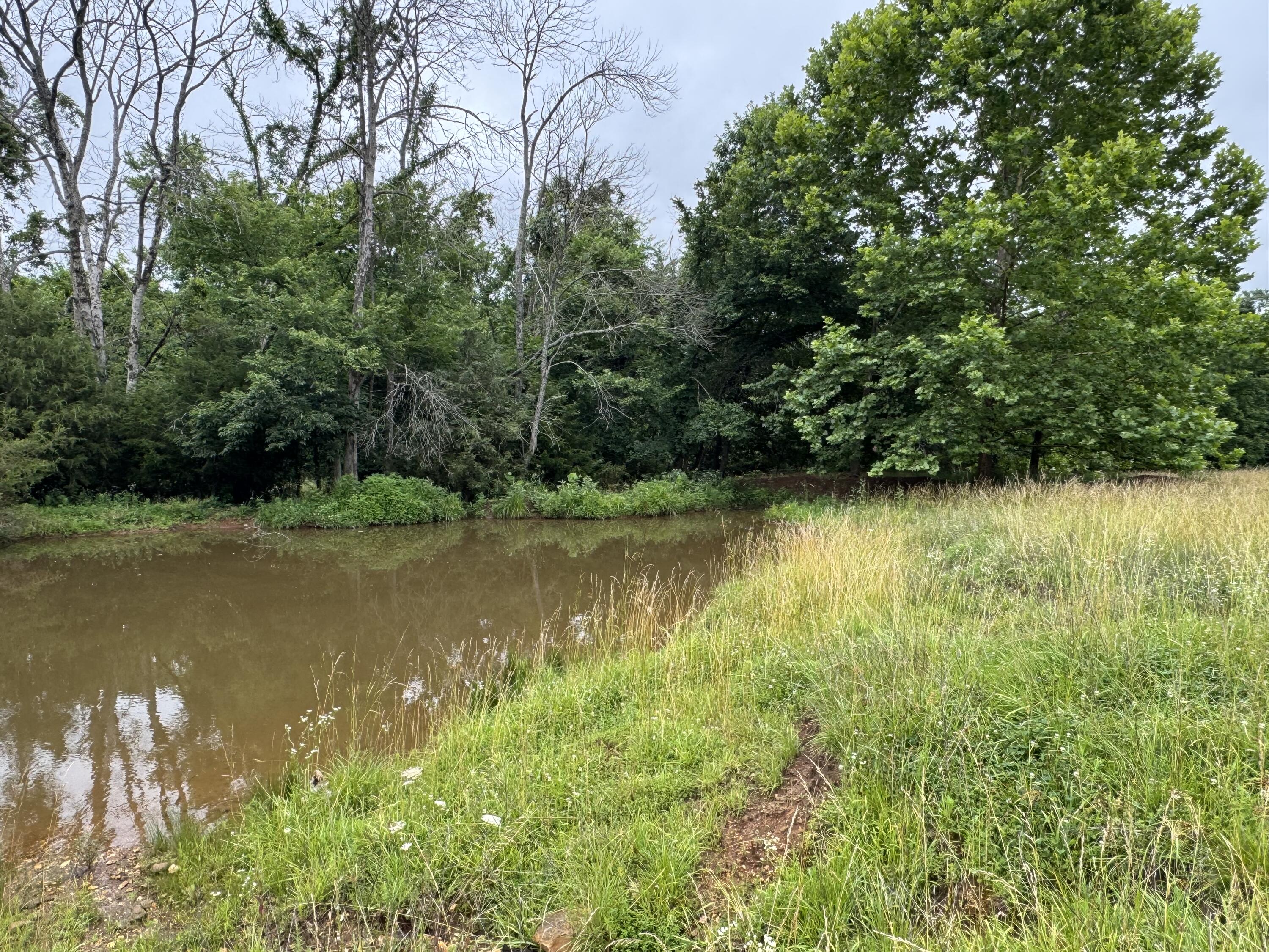 Photo 39 - Land for sale – 12230 S 2225 Road  Stockton, MO