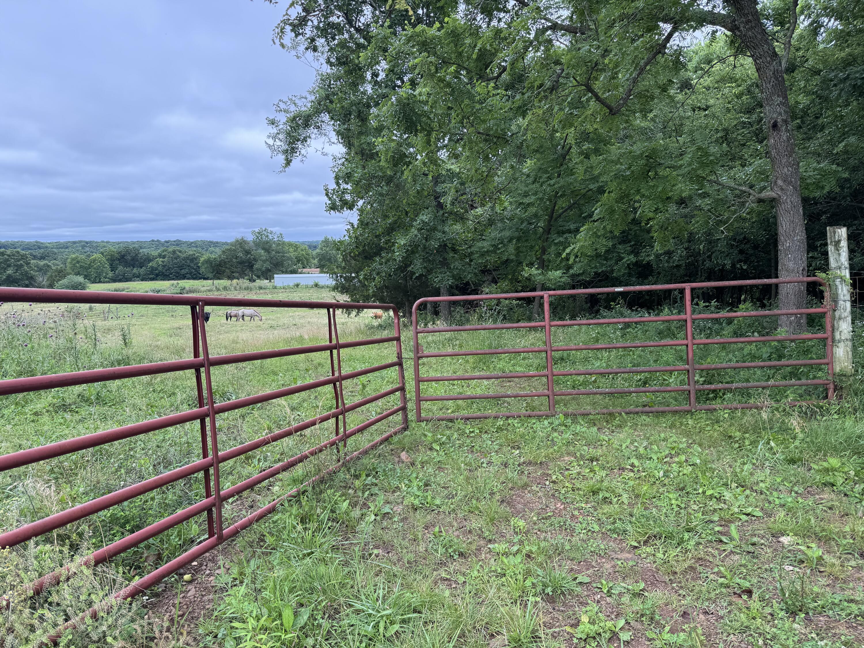 Photo 53 - Land for sale – 12230 S 2225 Road  Stockton, MO