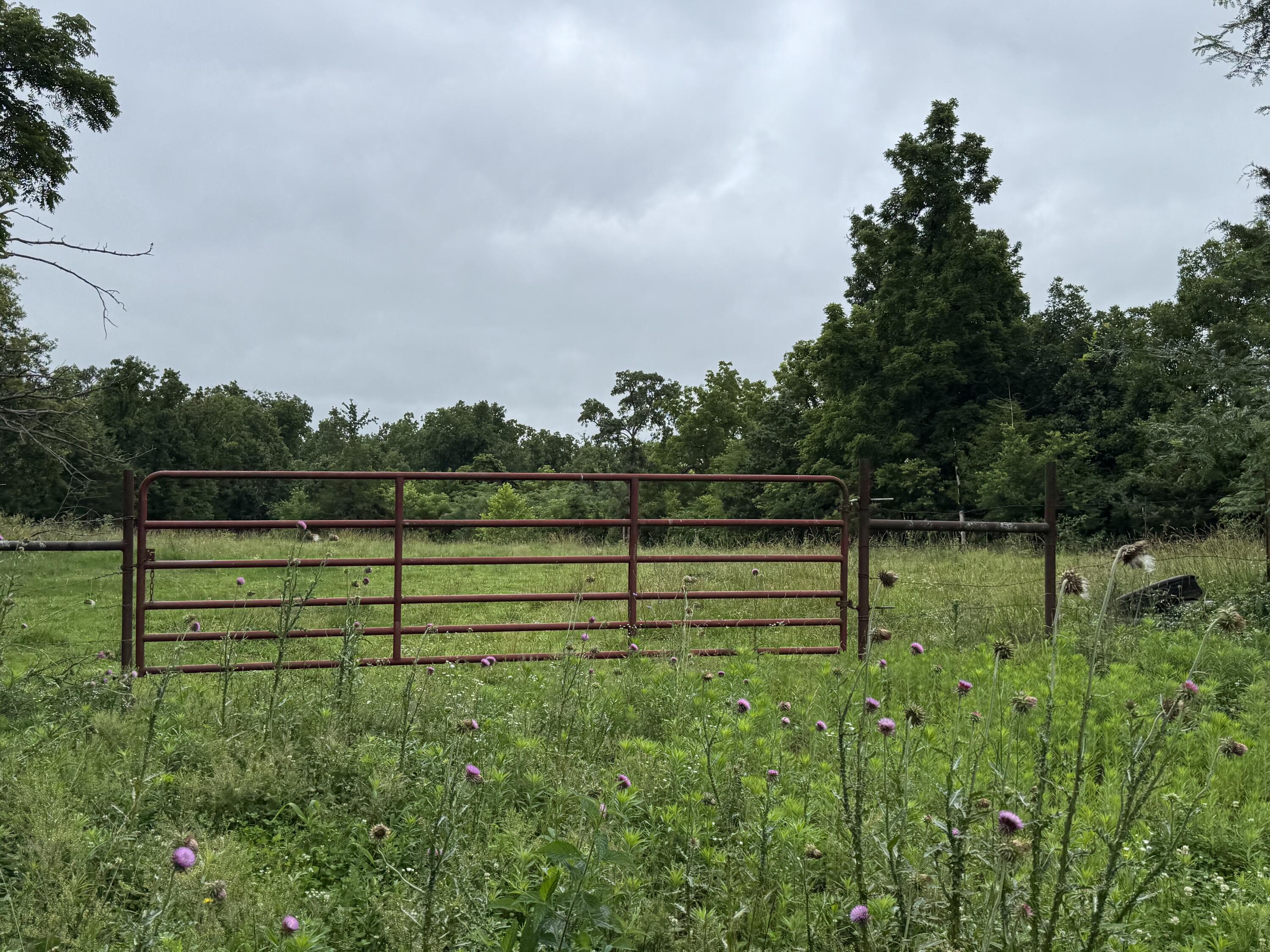 Photo 49 - Land for sale – 12230 S 2225 Road  Stockton, MO