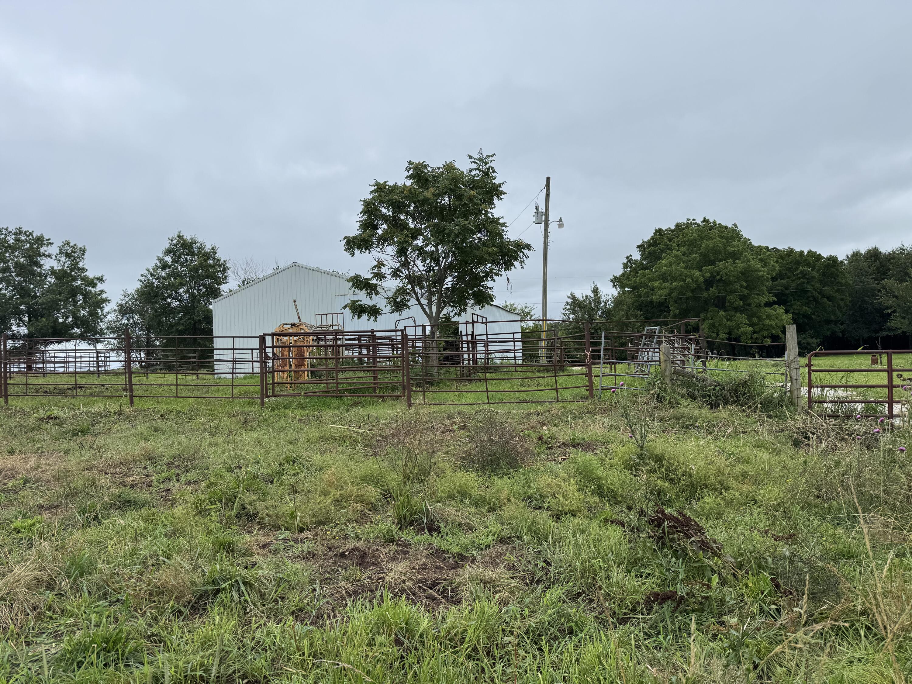 Photo 14 - Land for sale – 12230 S 2225 Road  Stockton, MO
