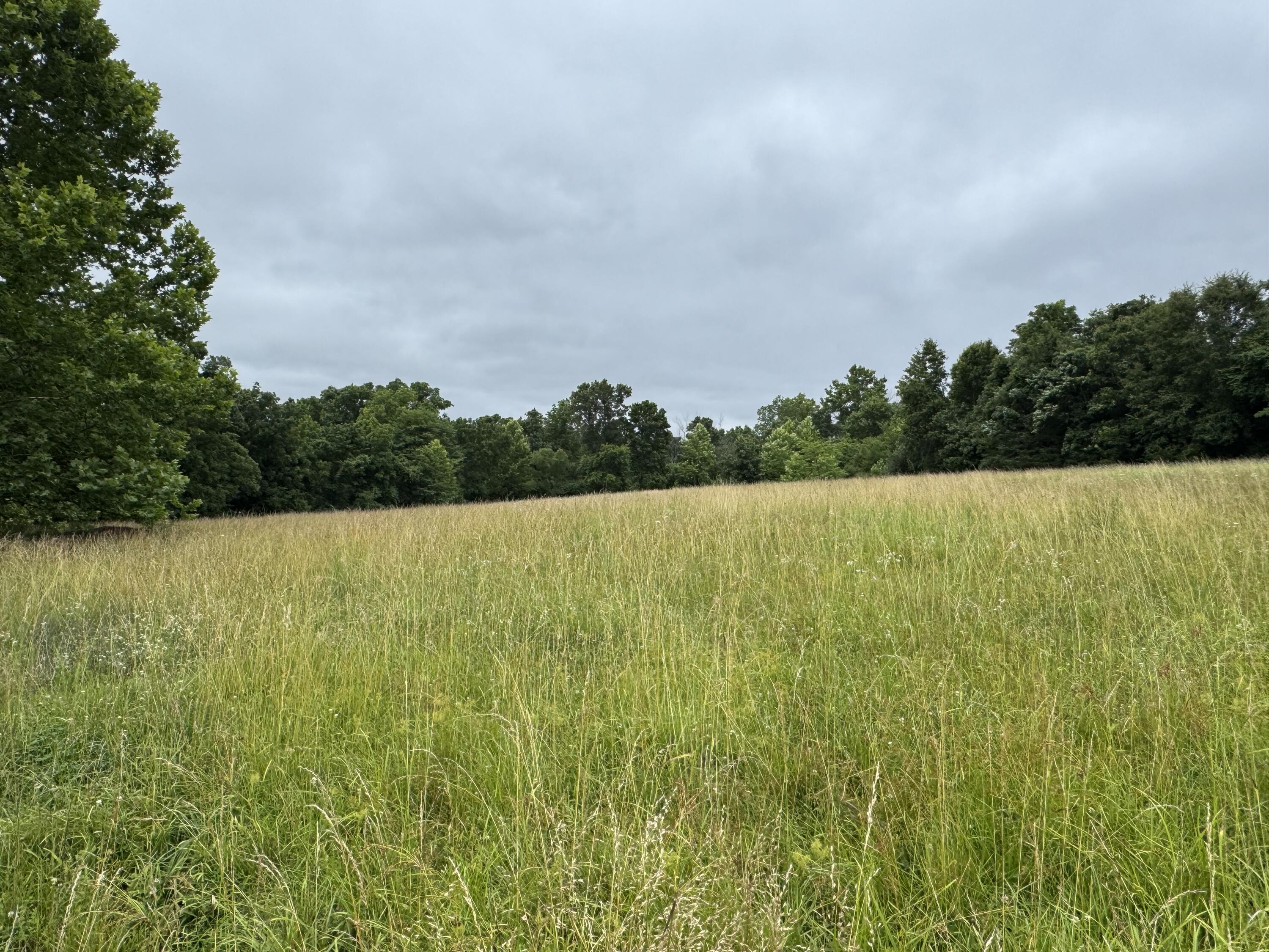 Photo 38 - Land for sale – 12230 S 2225 Road  Stockton, MO