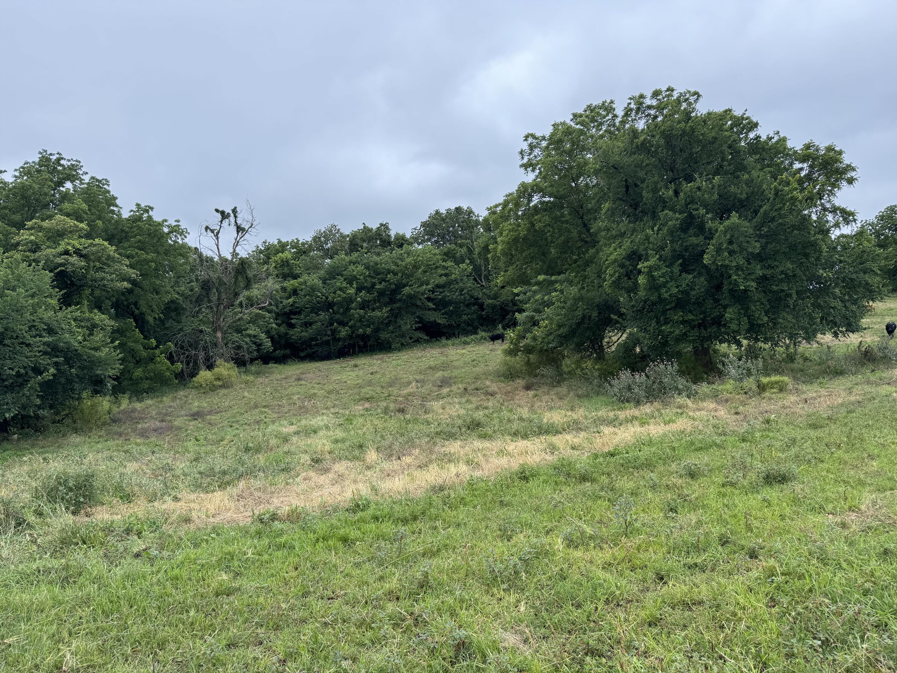 Photo 58 - Land for sale – 12230 S 2225 Road  Stockton, MO