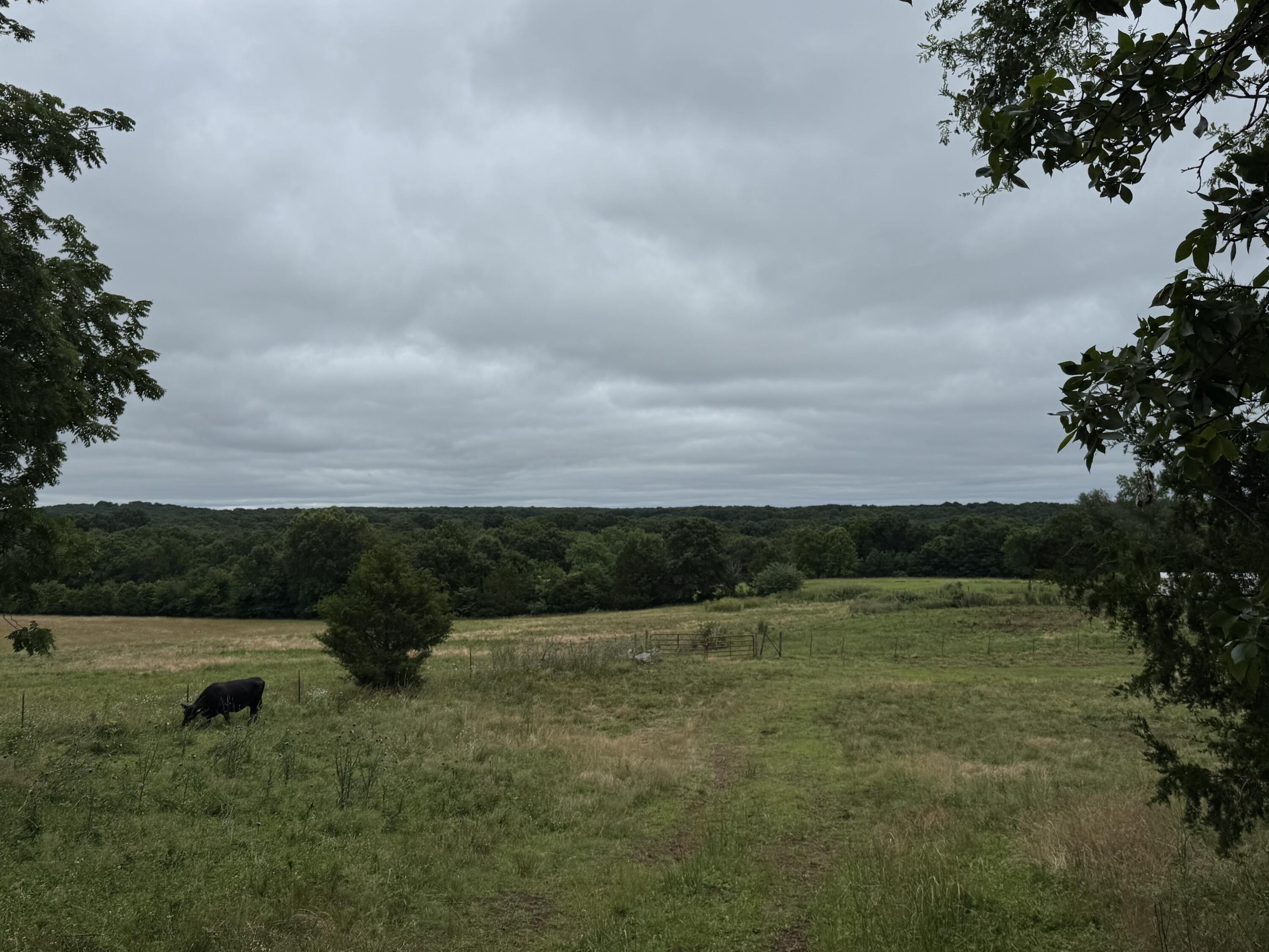 Photo 31 - Land for sale – 12230 S 2225 Road  Stockton, MO