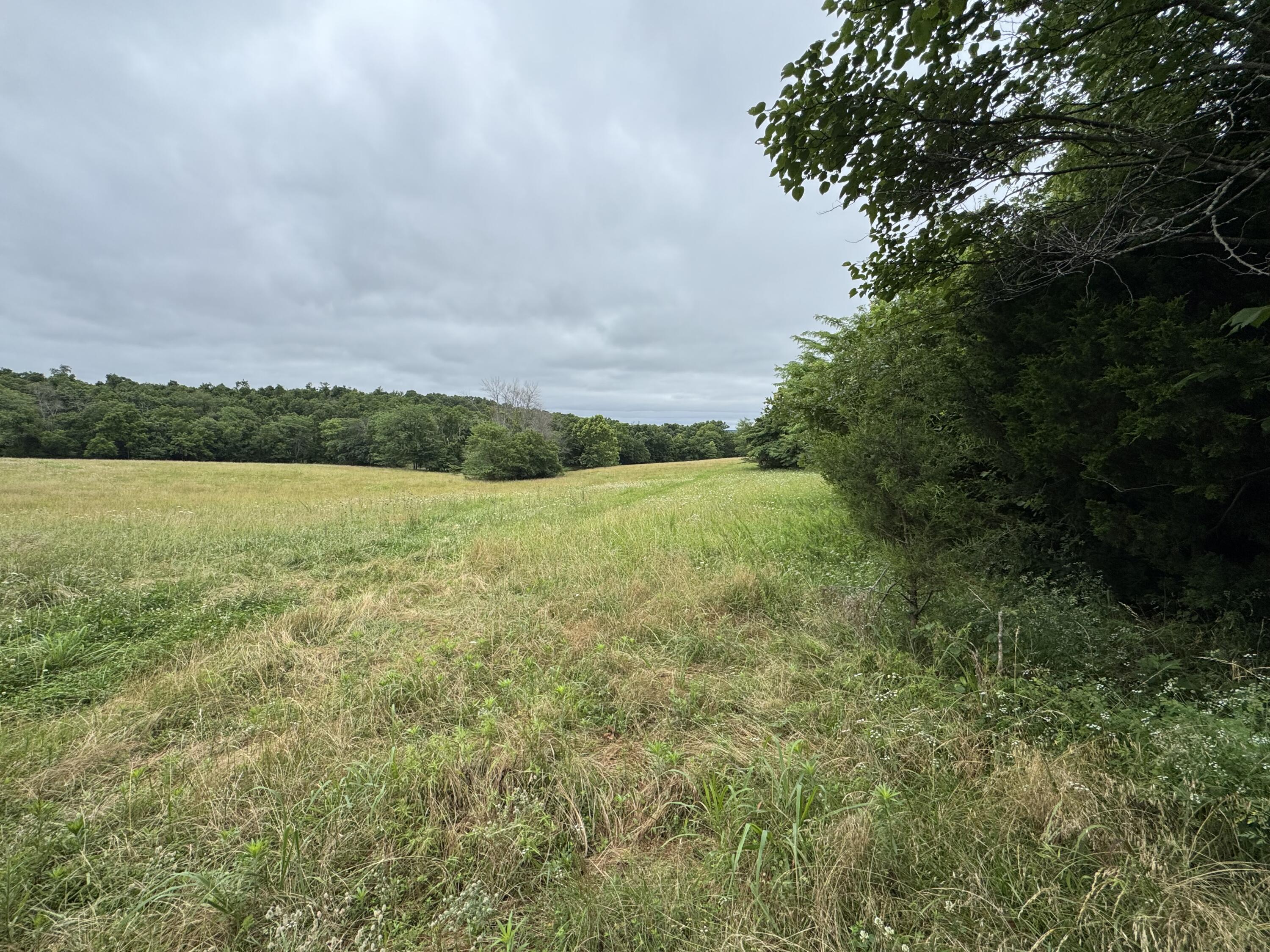 Photo 47 - Land for sale – 12230 S 2225 Road  Stockton, MO