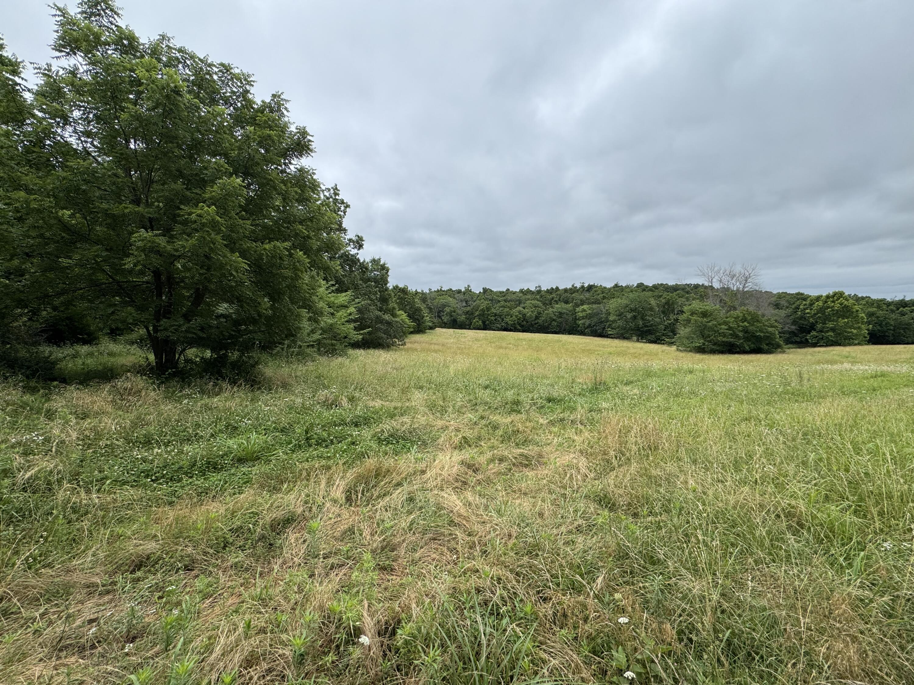 Photo 42 - Land for sale – 12230 S 2225 Road  Stockton, MO