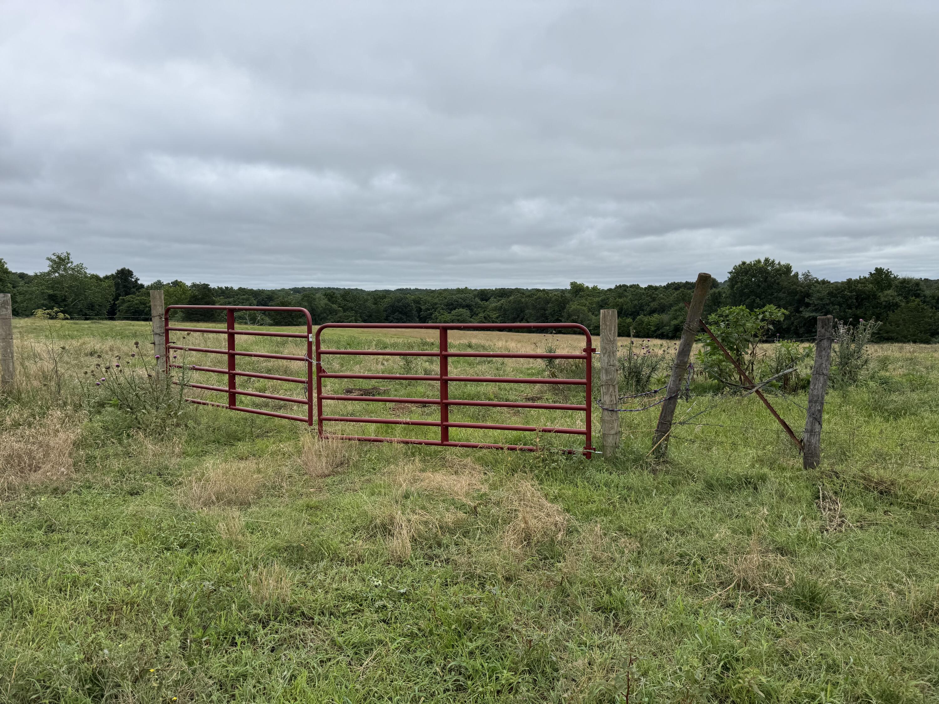 Photo 56 - Land for sale – 12230 S 2225 Road  Stockton, MO