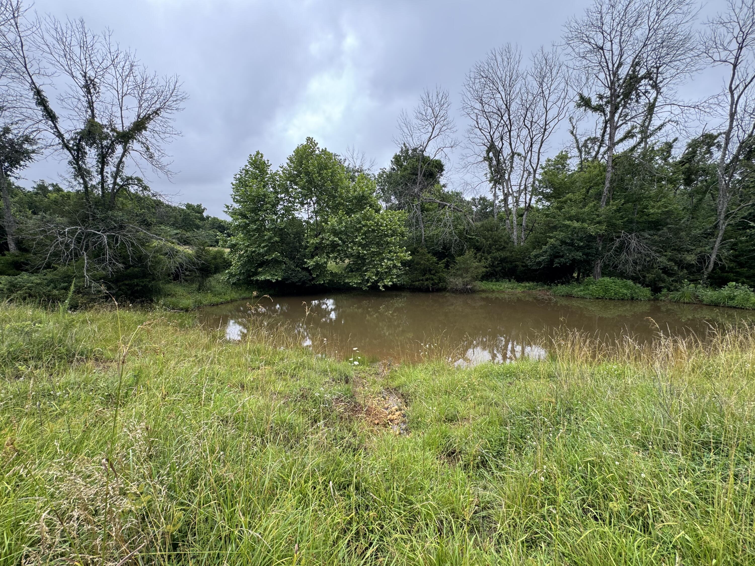Photo 41 - Land for sale – 12230 S 2225 Road  Stockton, MO