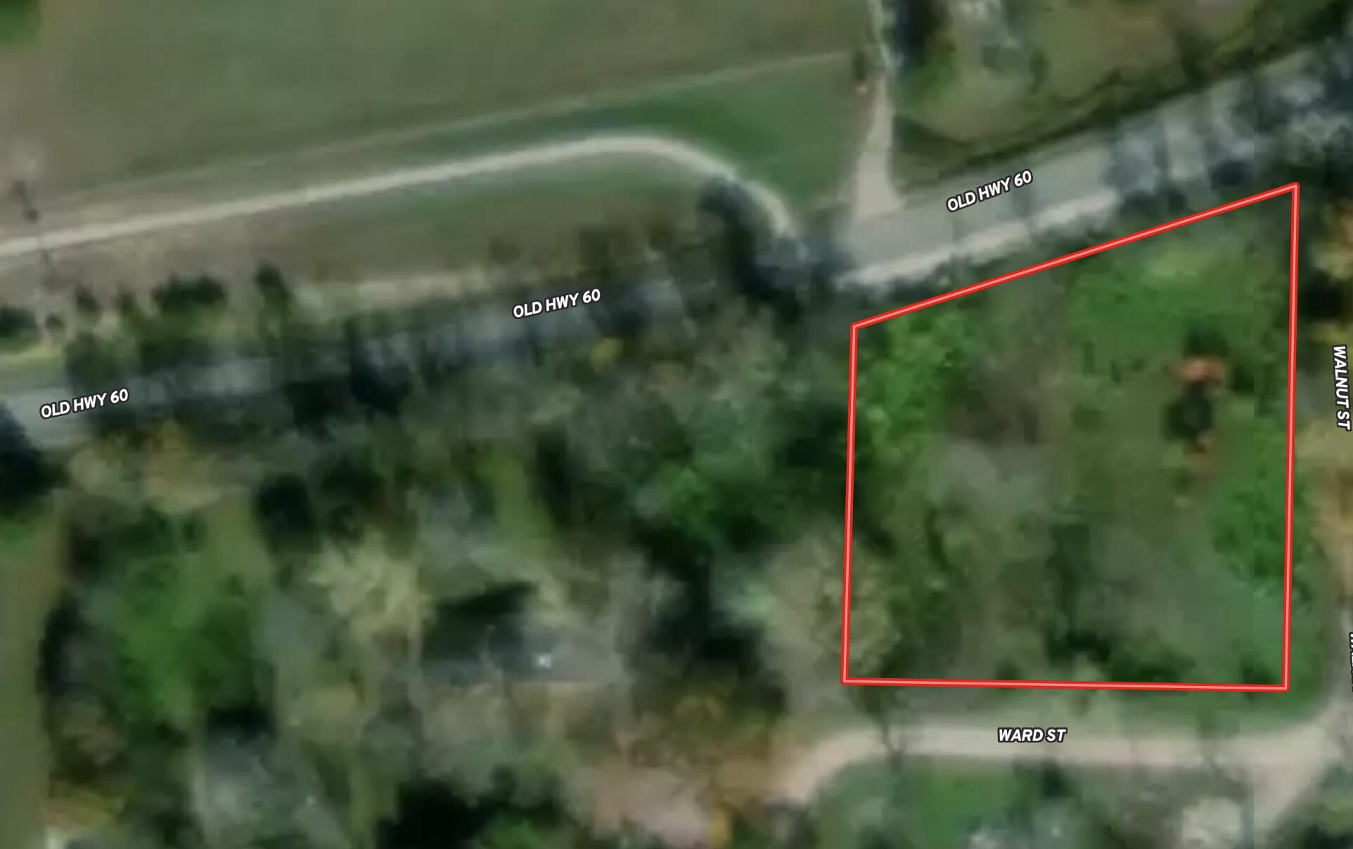 Photo 2 - Land for sale – 000  Ward Street  Birch Tree, MO