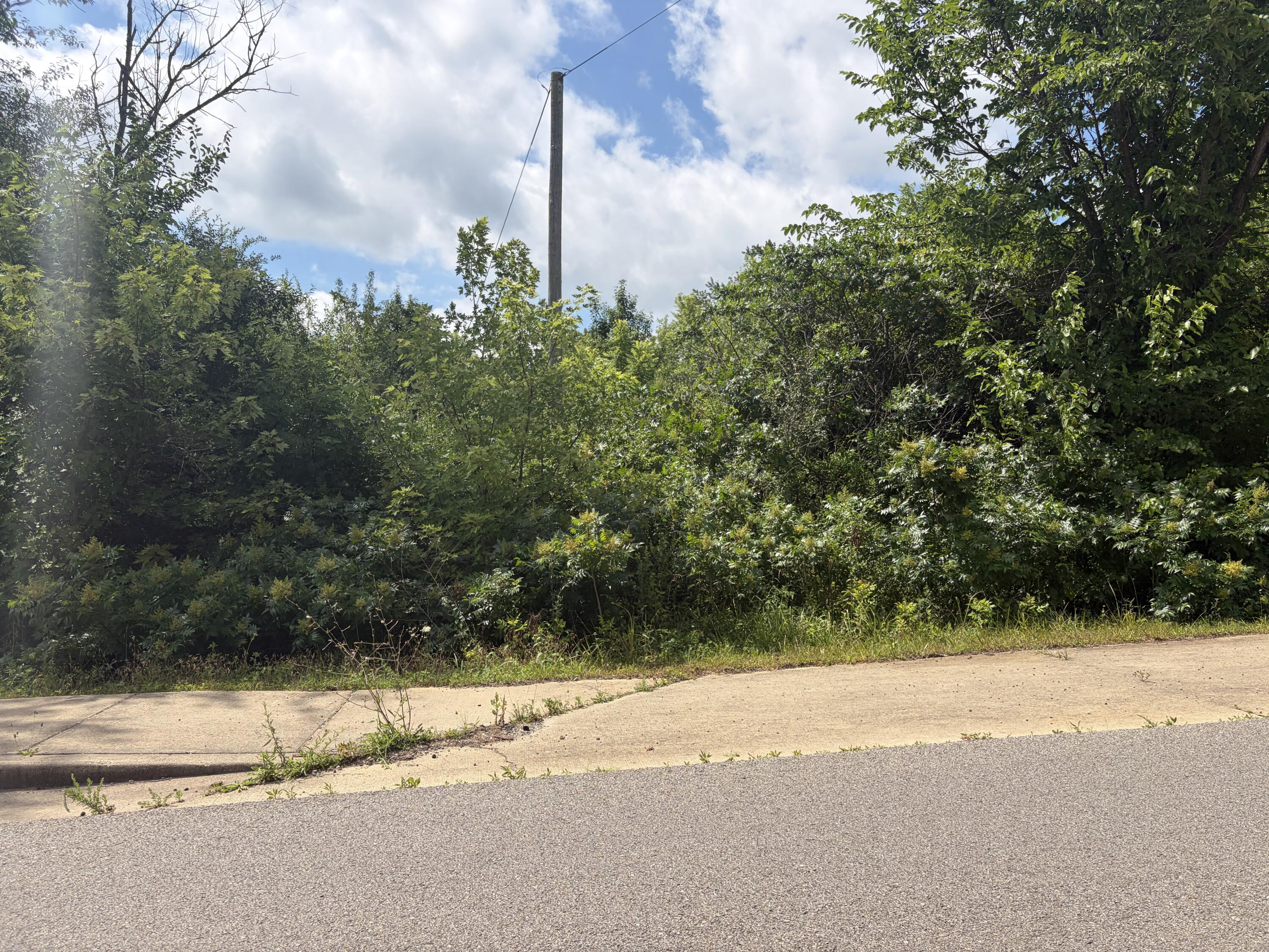 Photo 4 - Land for sale – 000  Ward Street  Birch Tree, MO