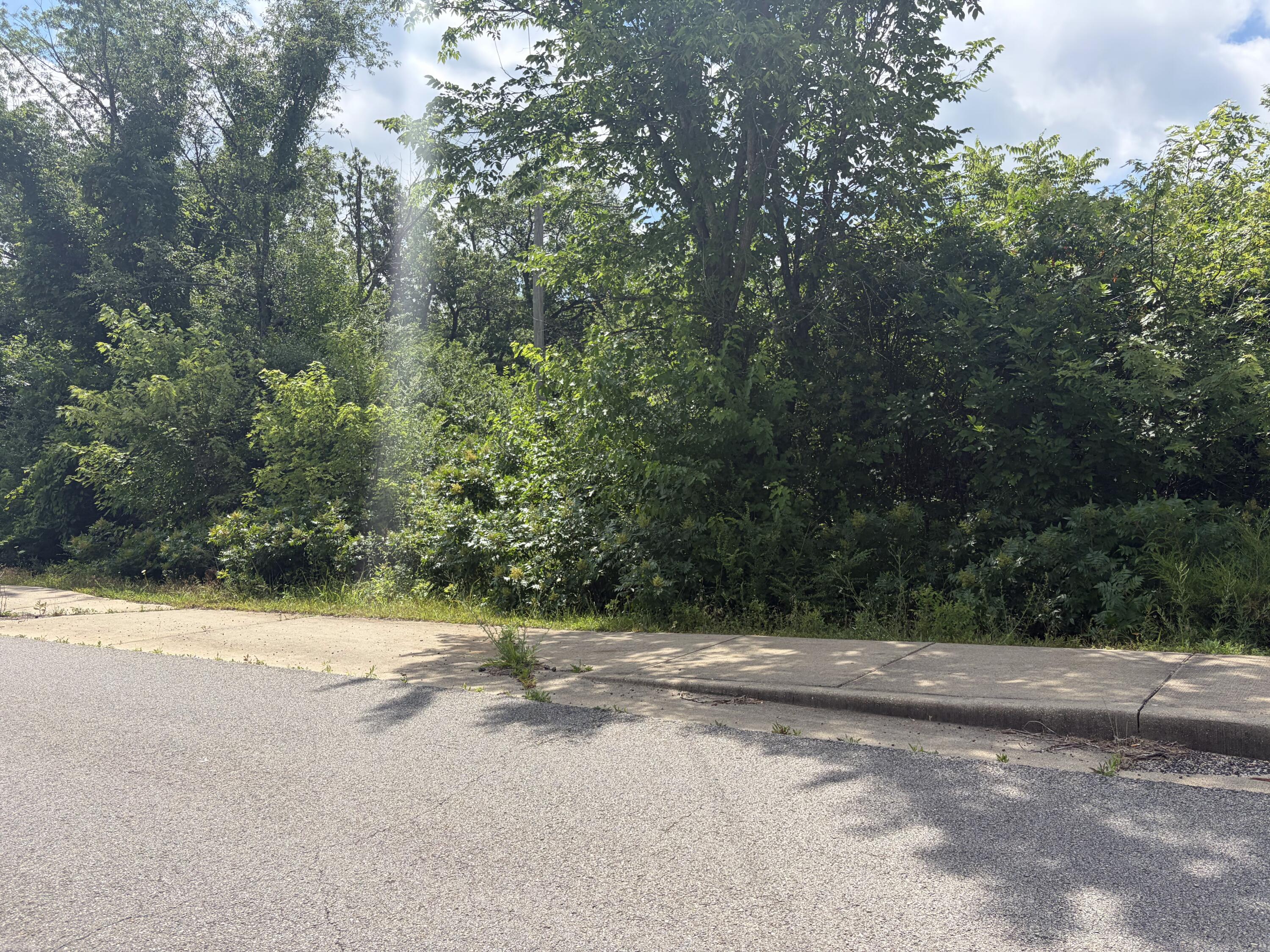 Photo 5 - Land for sale – 000  Ward Street  Birch Tree, MO