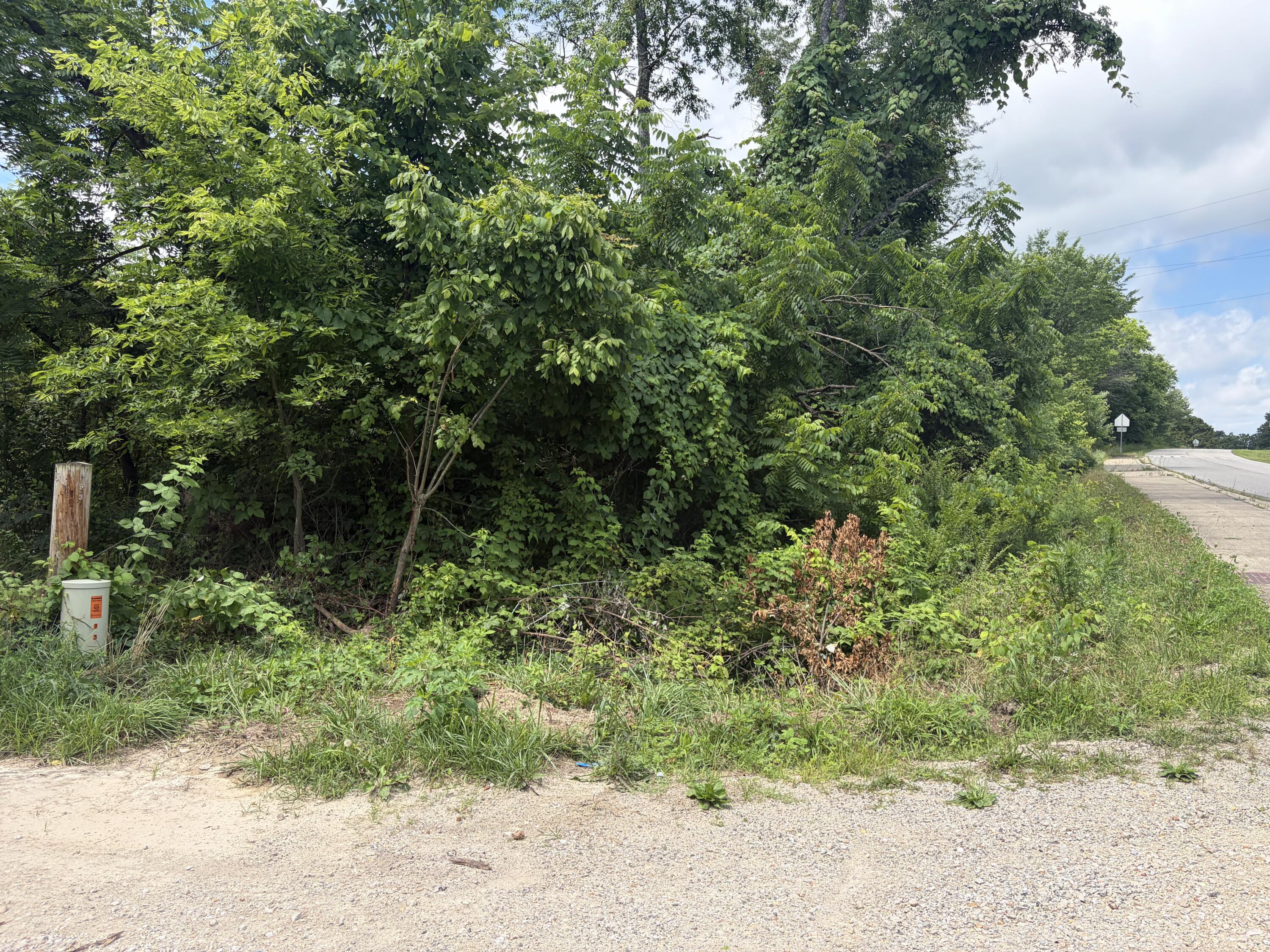 Land for sale – 000  Ward Street  Birch Tree, MO