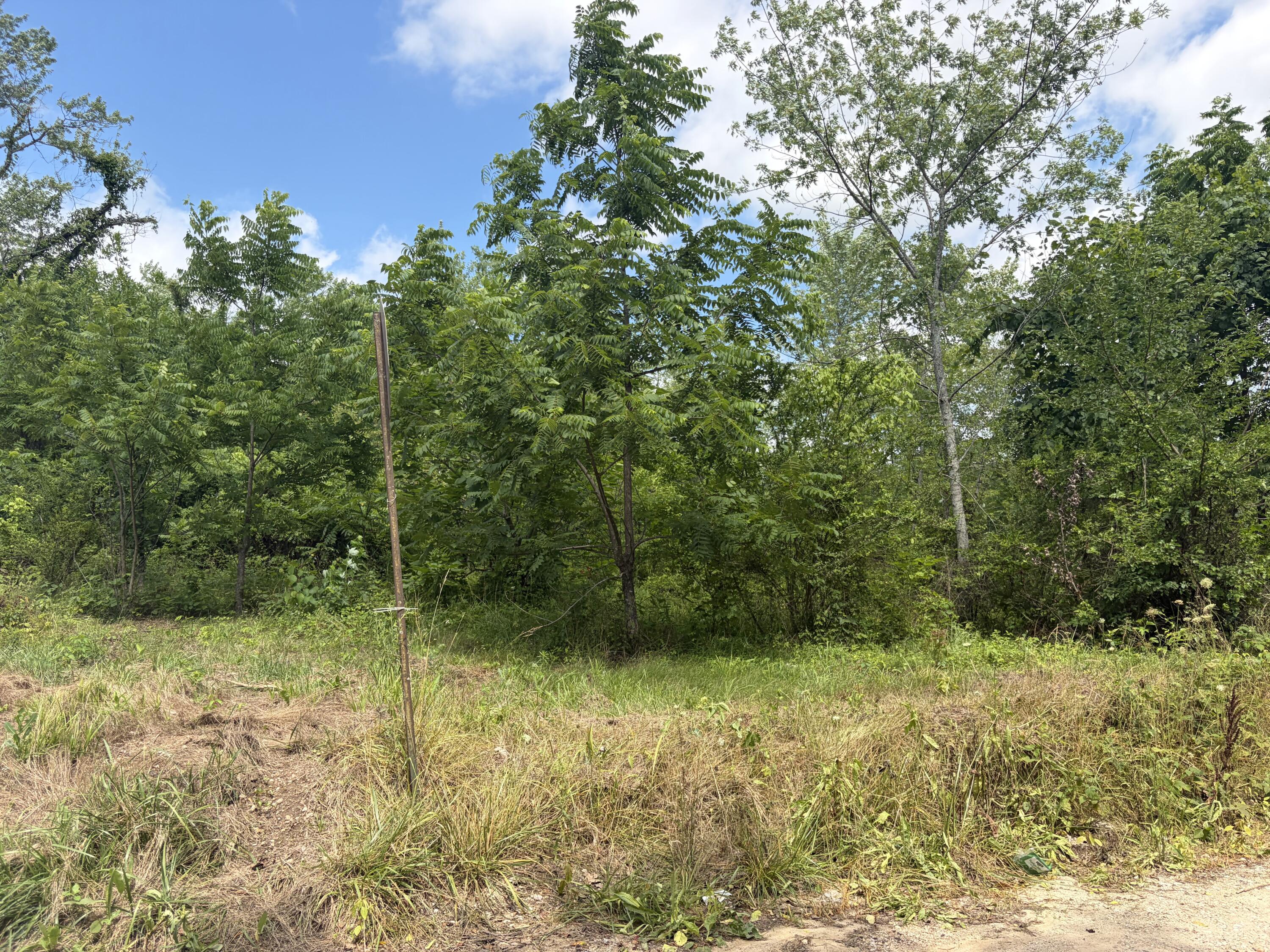 Photo 6 - Land for sale – 000  Ward Street  Birch Tree, MO