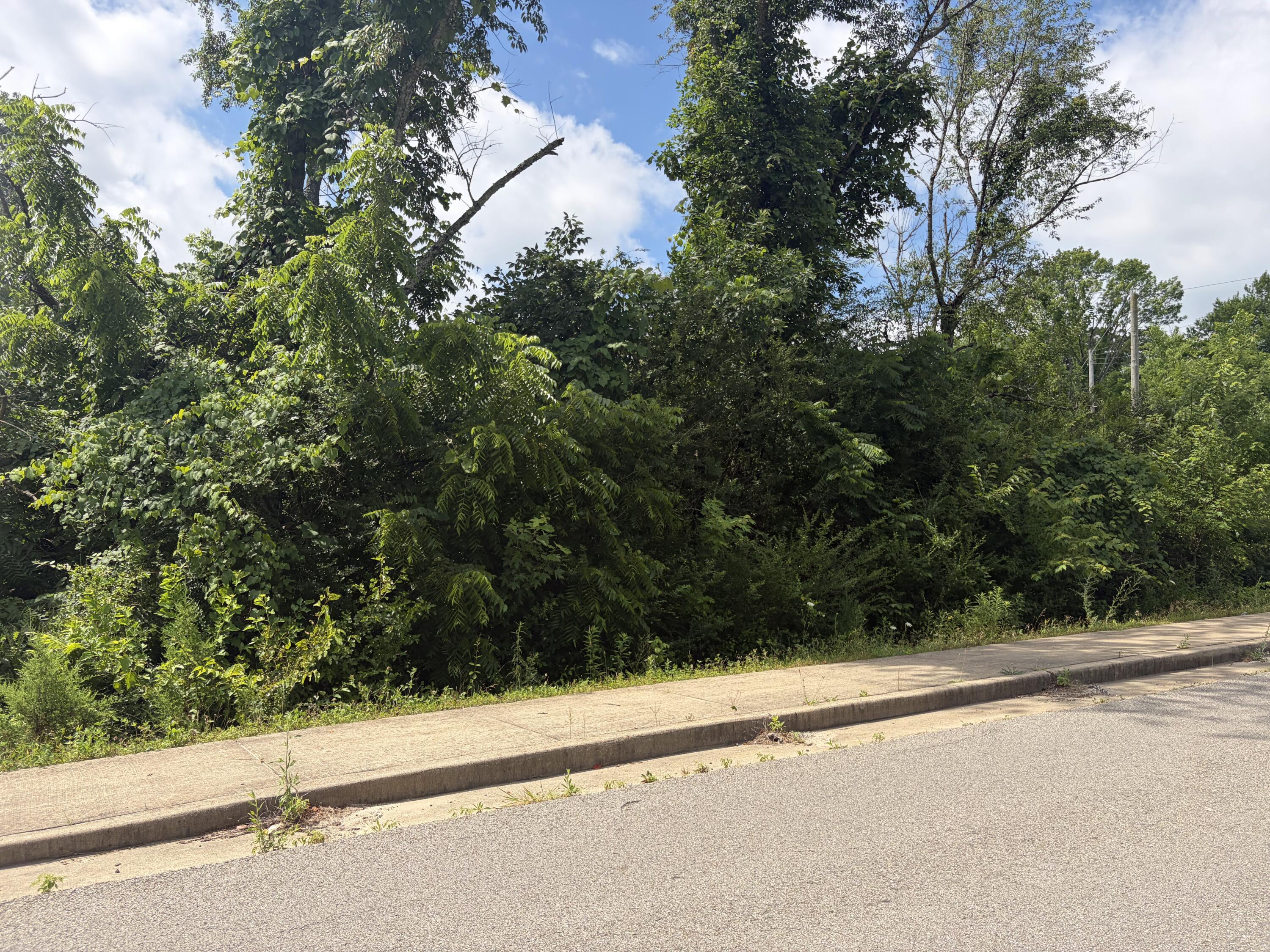 Photo 3 - Land for sale – 000  Ward Street  Birch Tree, MO