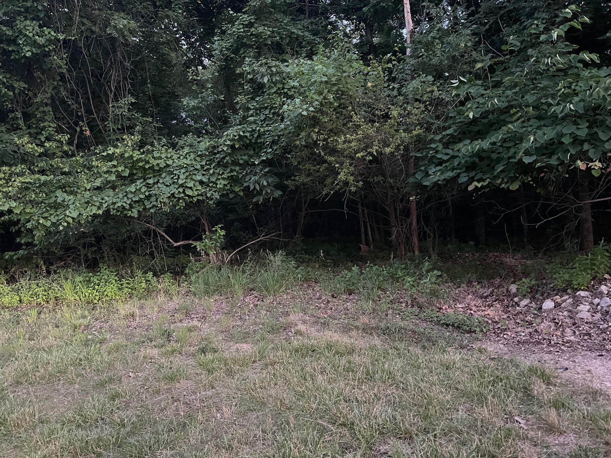 Photo 5 - Land for sale – Lot 89  Carol Road  Lake Ozark, MO